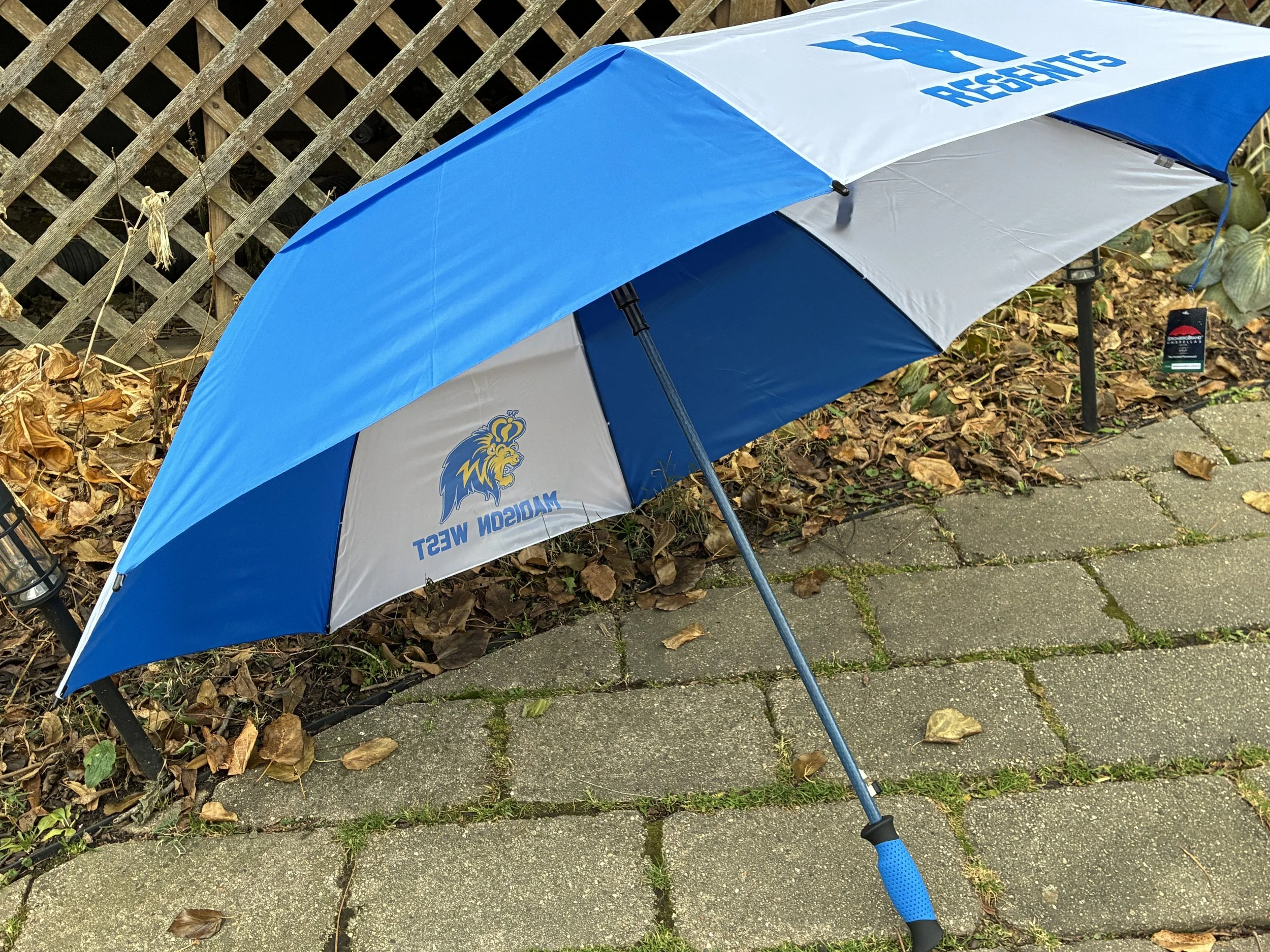 Umbrella (Open Side W).JPEG