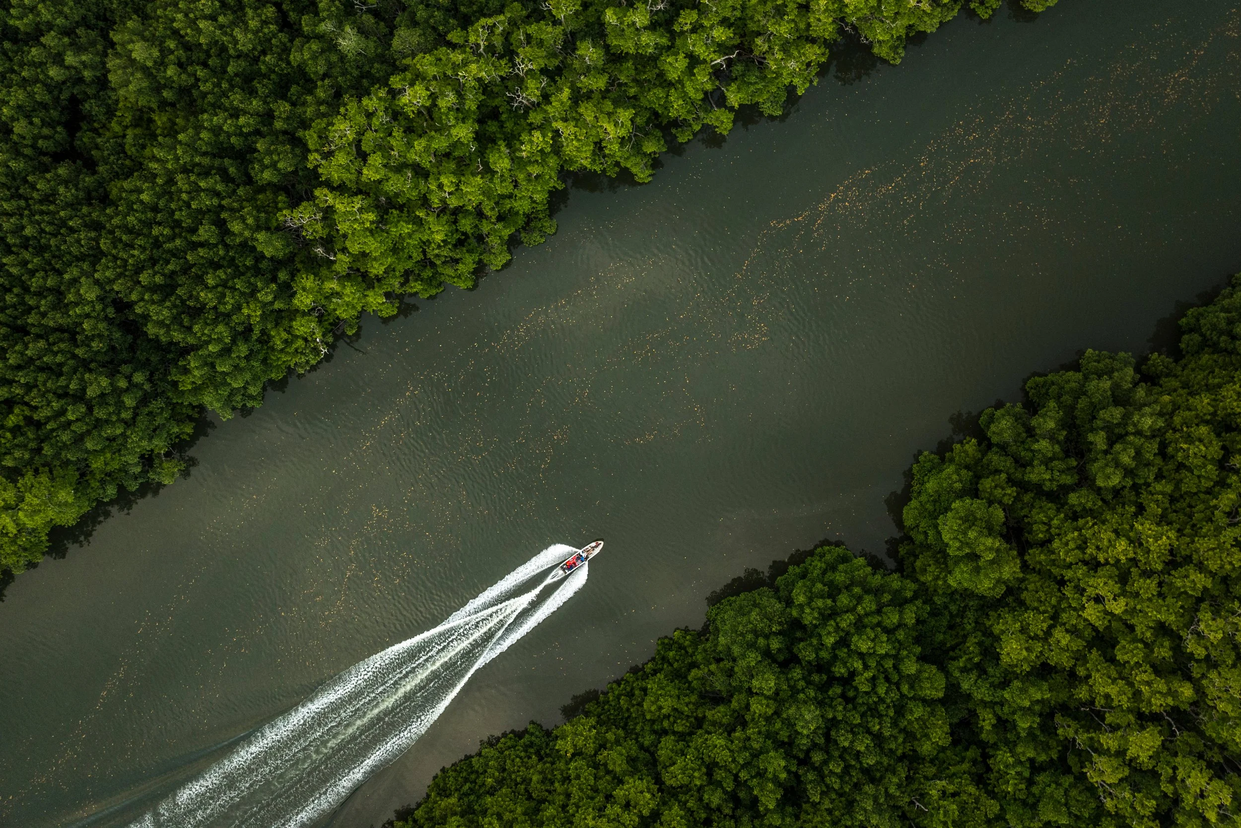 The Nature Suite — Climate Resilient by Nature