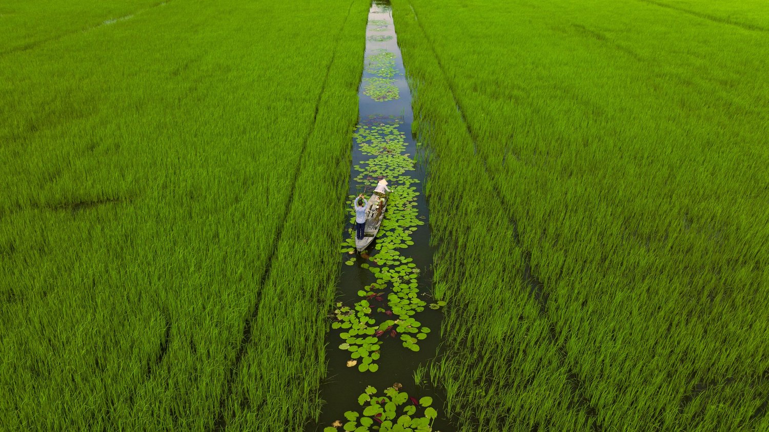 Knowledge Hub Climate Resilient By Nature