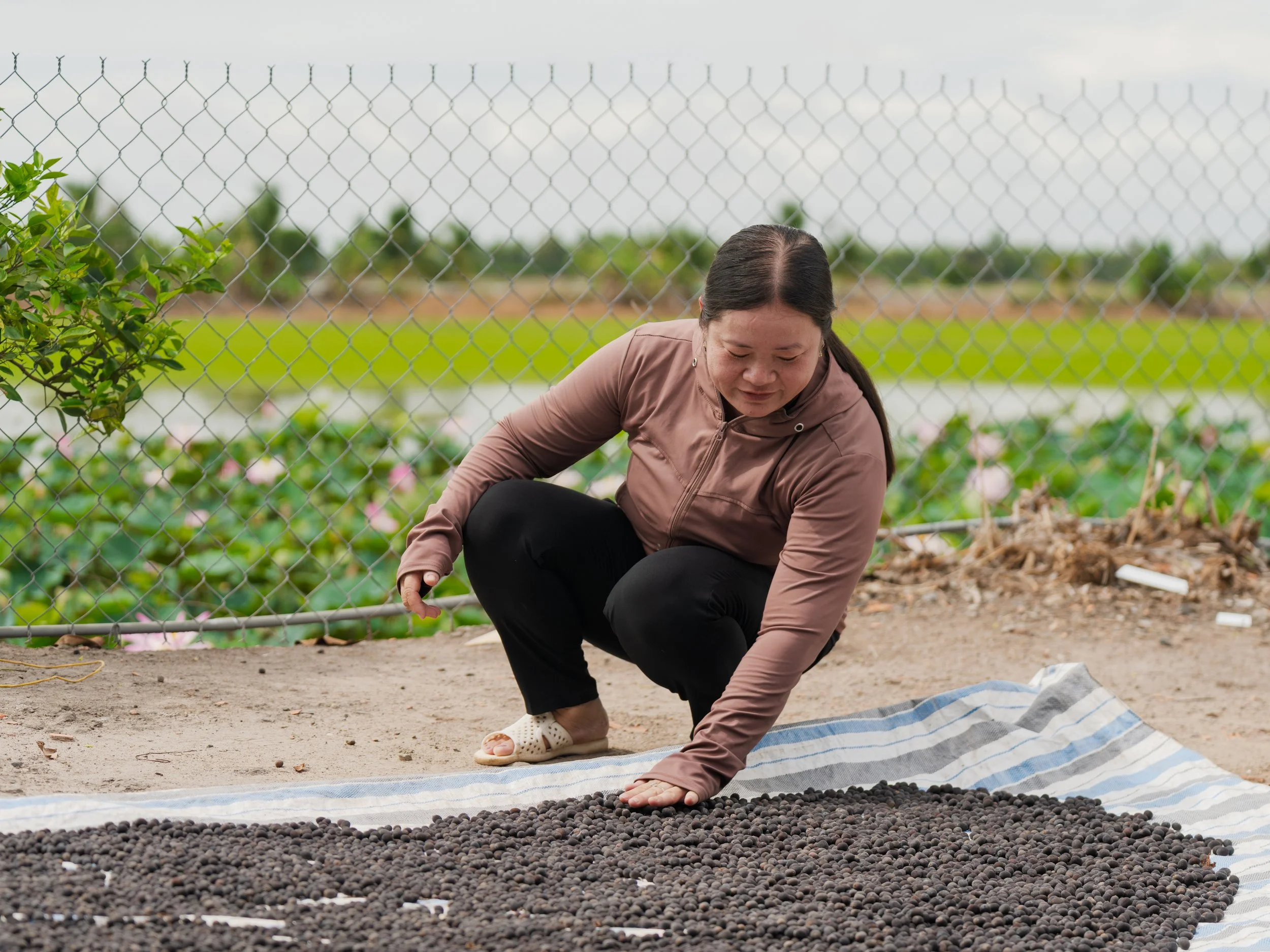 Scaling nature-based solution in the Mekong 