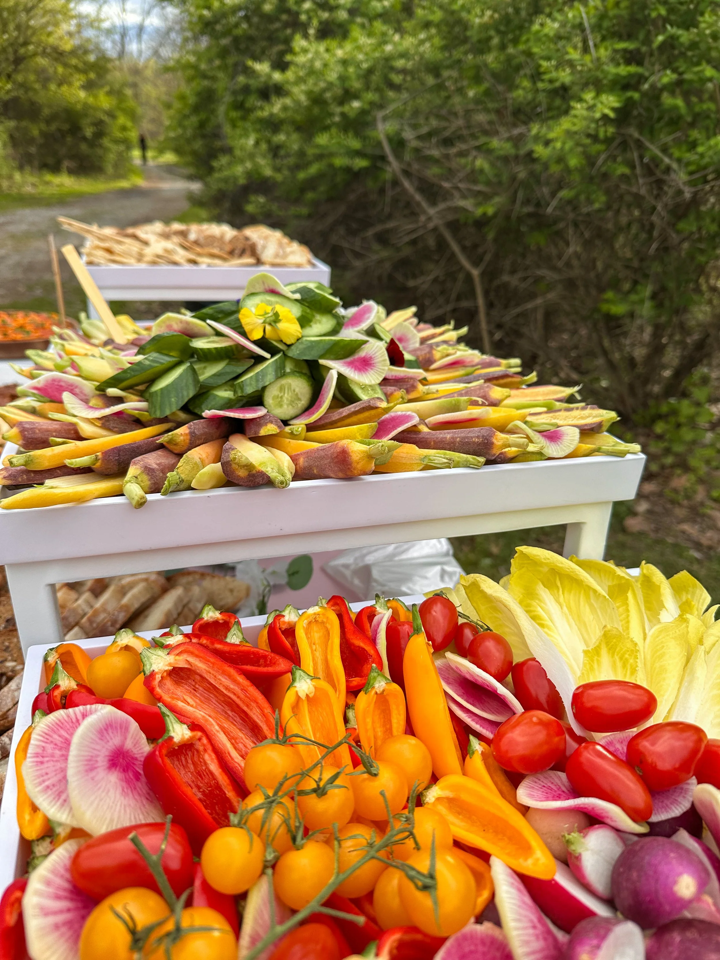Outdoor buffet table with various dishes including a flatbread pizza, bowl of salad, roasted vegetables, stuffed grape leaves, and small bowls of sauces and pickles. Decorated with colorful flowers, pumpkins, and gardening tools, set in a garden with trees and plants.
