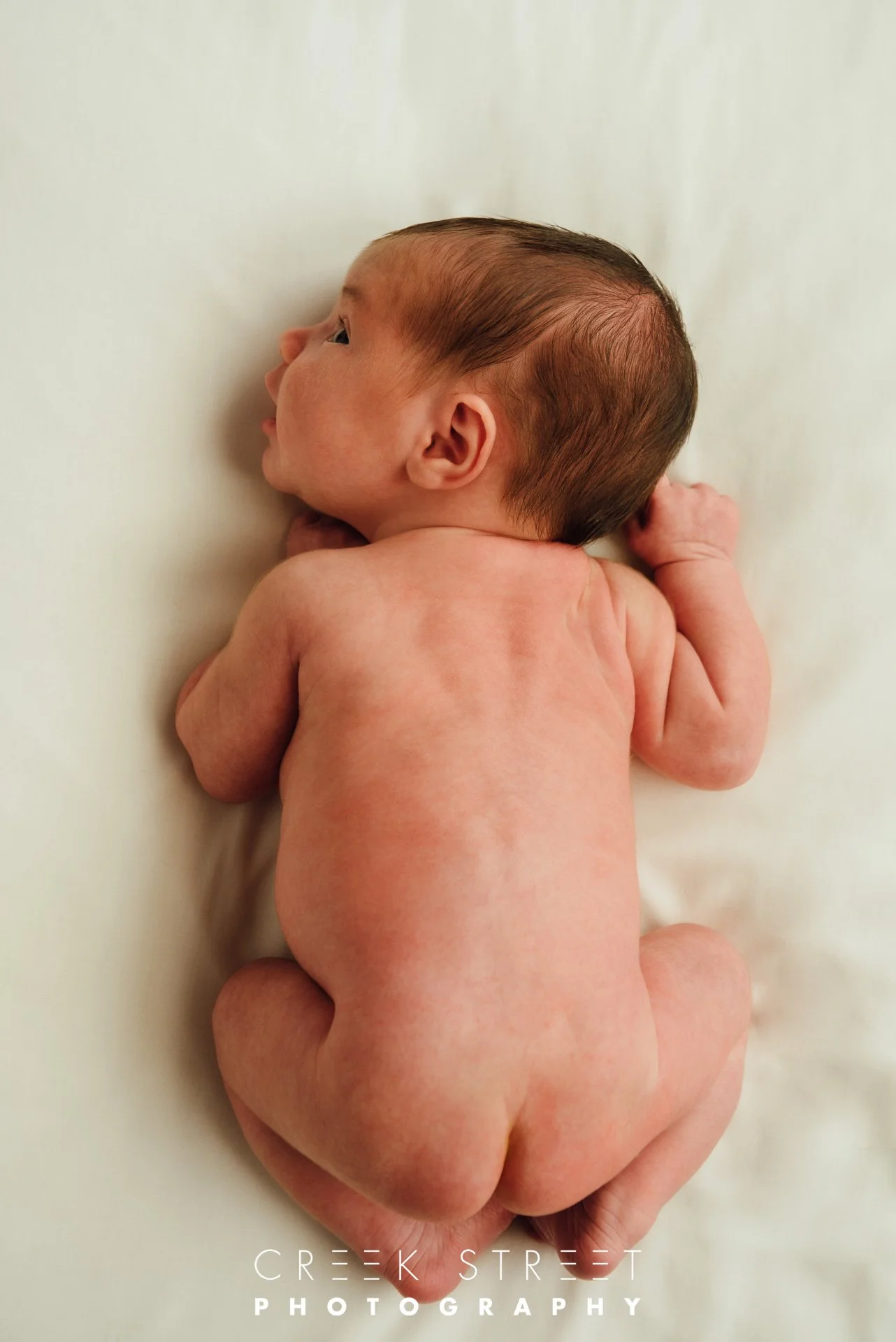 newborn studio portrait sydney.jpg