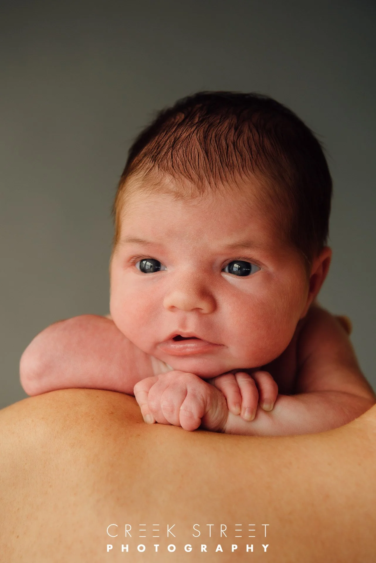 newborn studio portrait.jpg