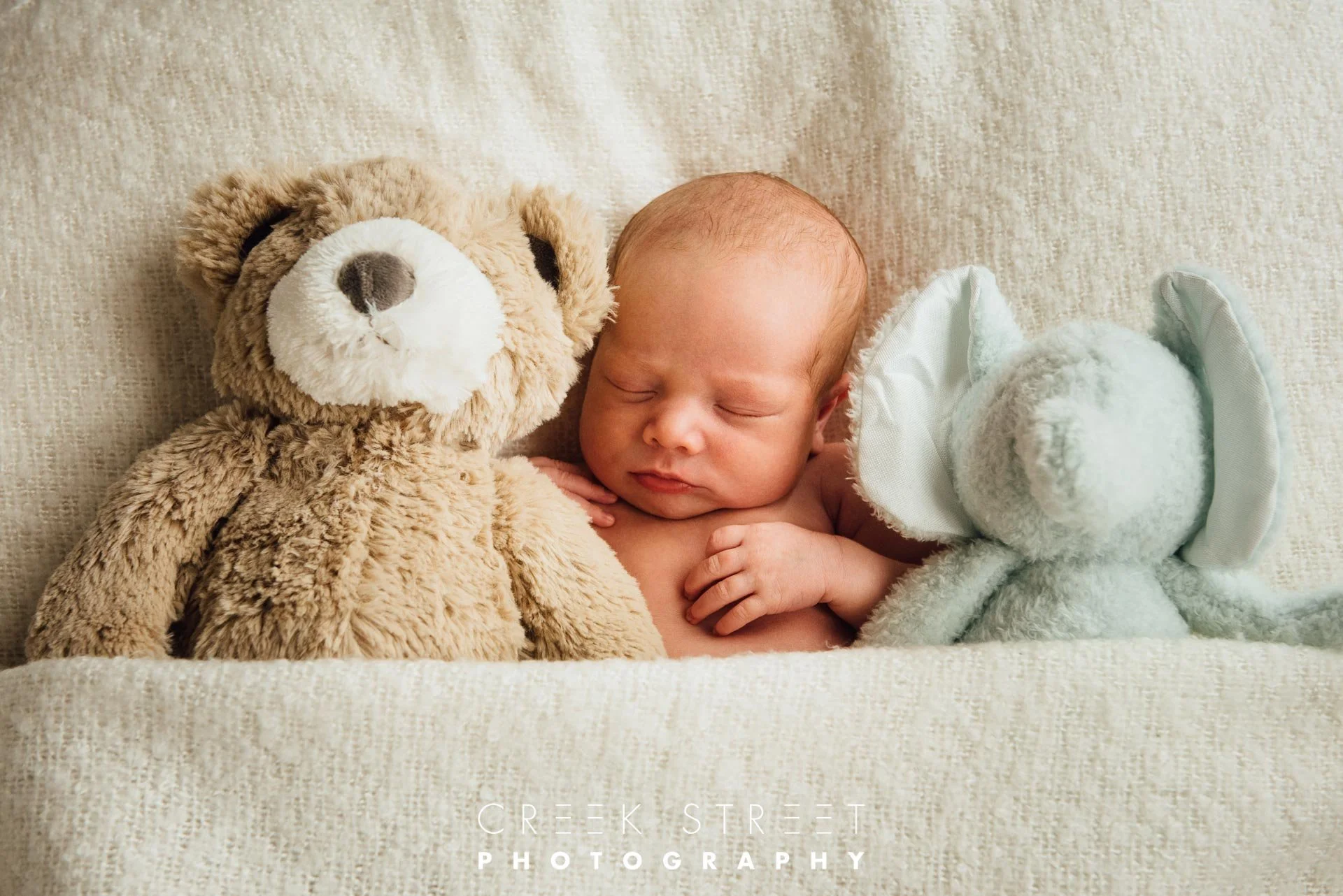newborn portrait with teddies.jpg