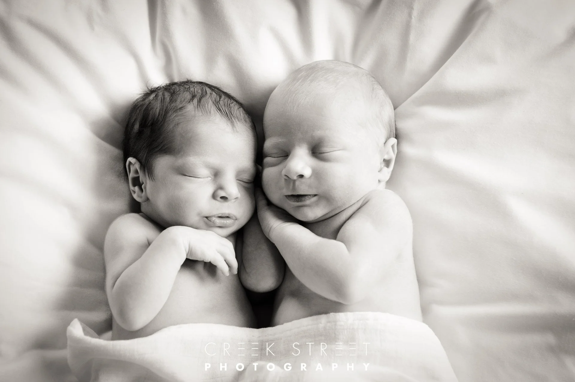 newborntwinphotographysydney.jpg