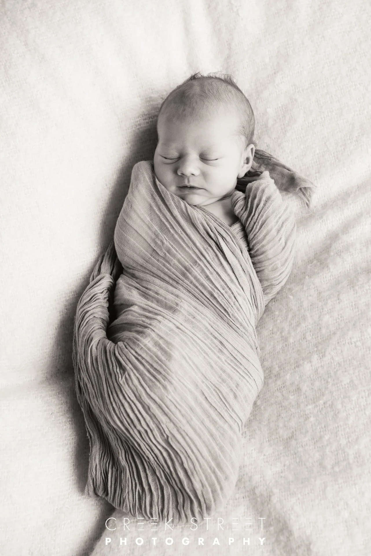 newborn photography in wrap.jpg