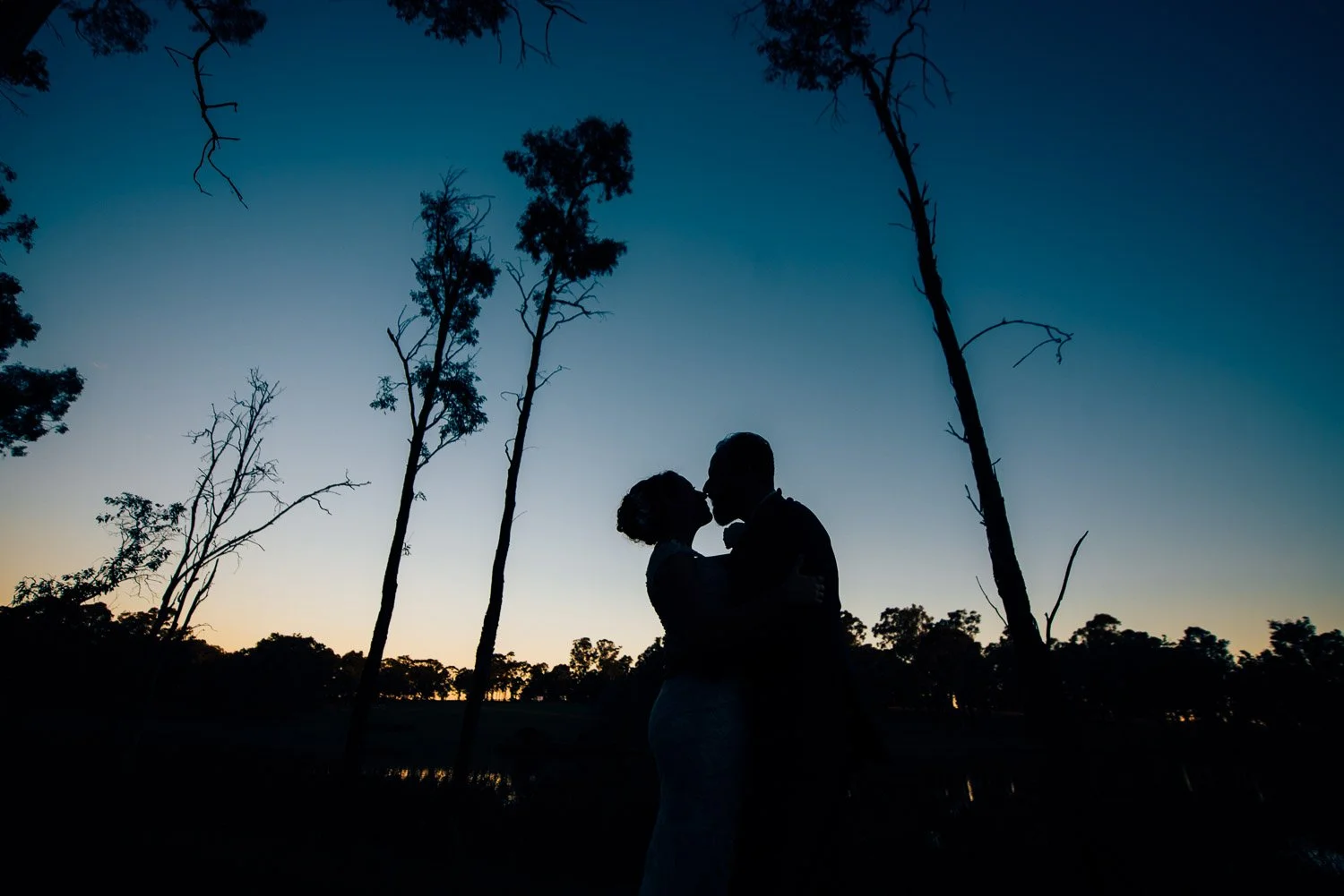 silhouette bride and groom with trees and dark blue sky 