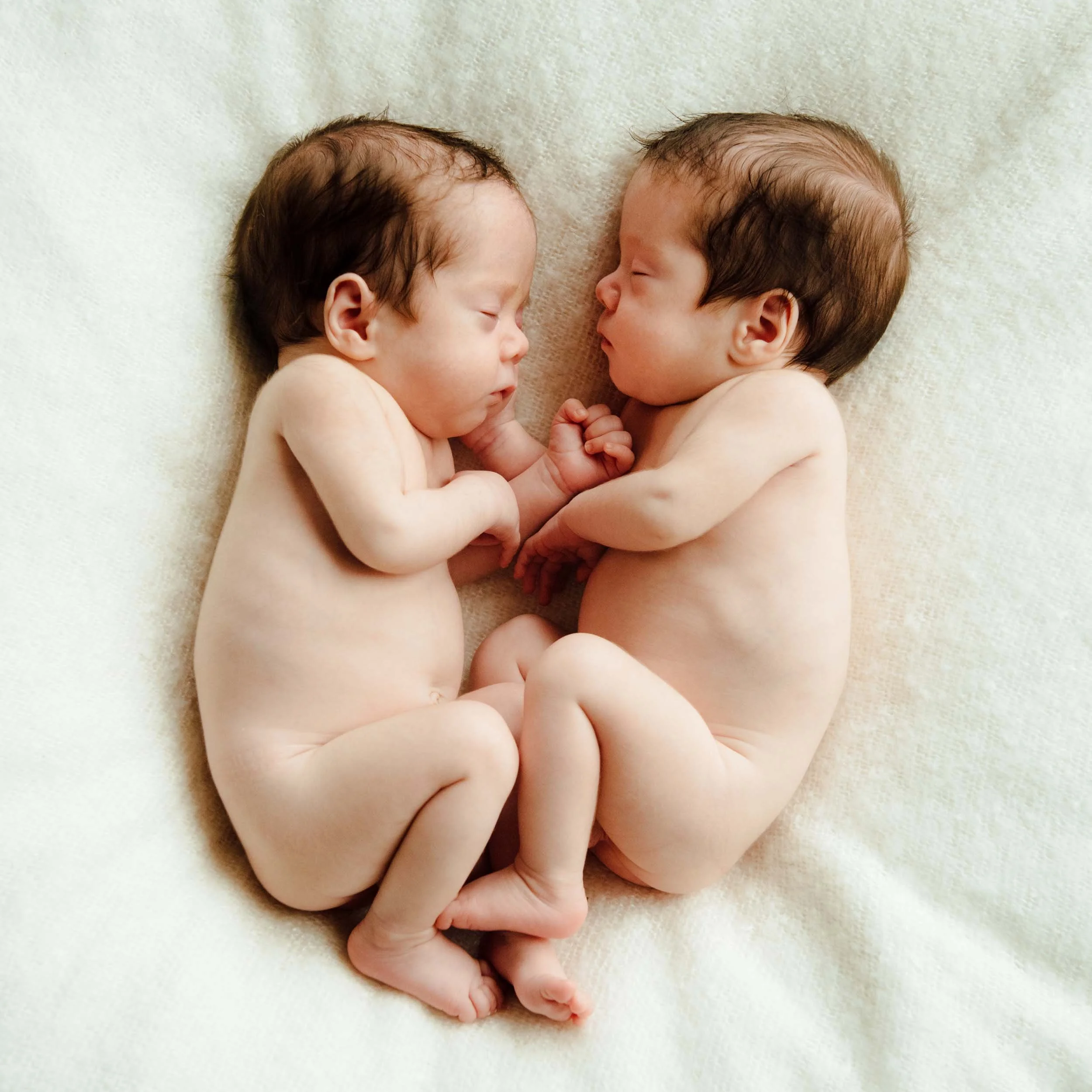 twin newborn photography of sleeping babies curled up facing each other