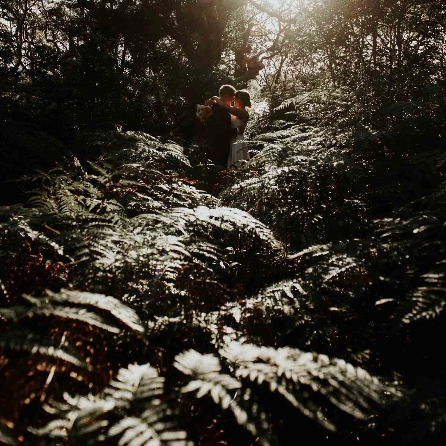 backlit romantic wedding photo of couple kissing among ferns