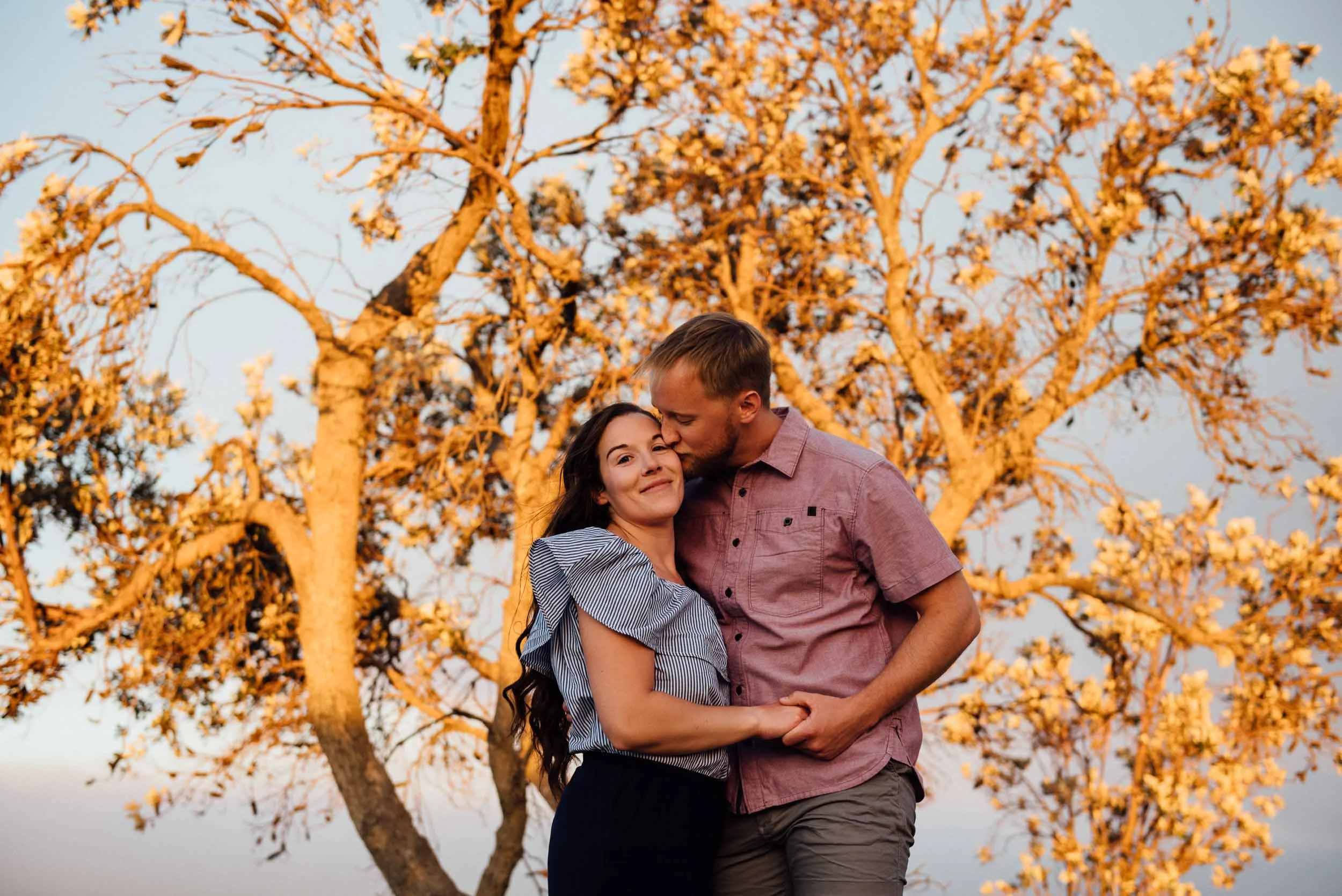 portrait photography sydney of couple in front of big tree