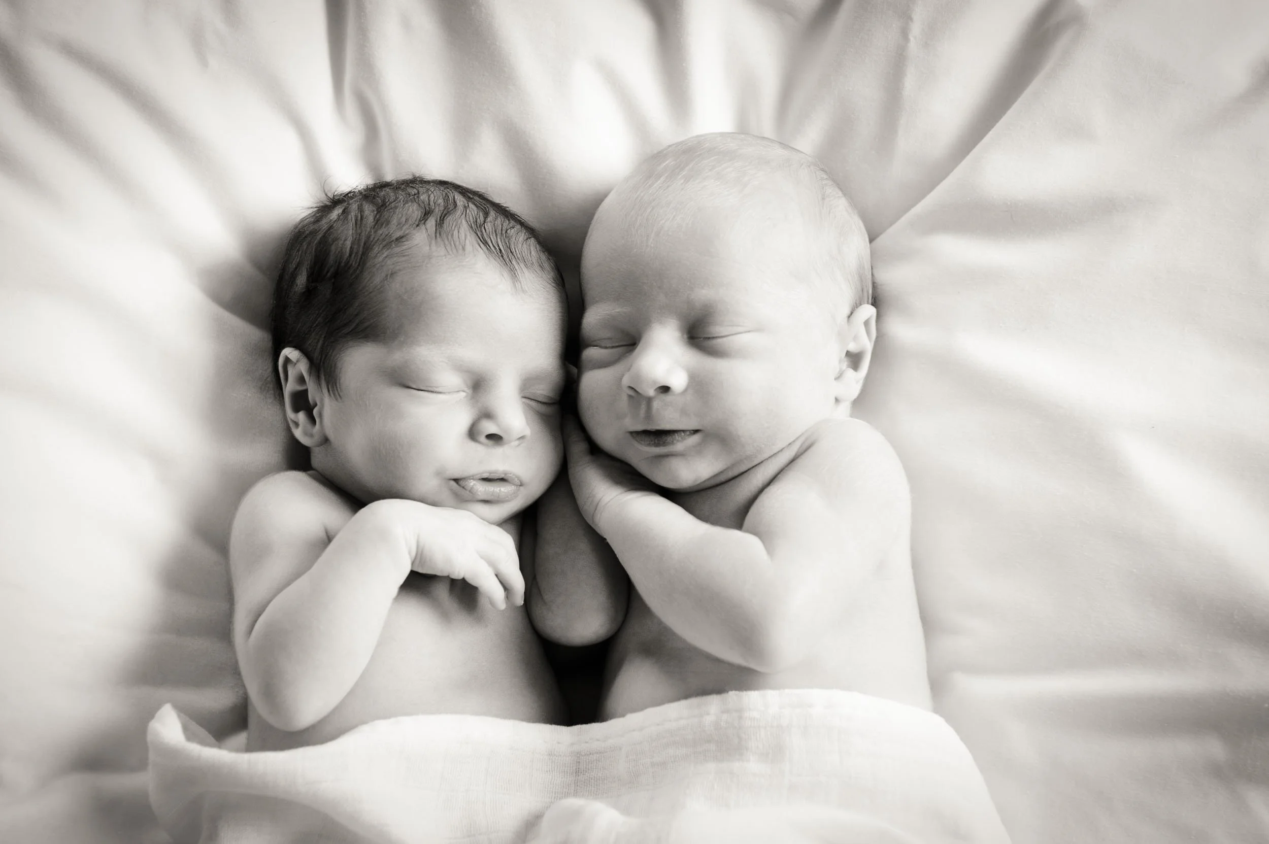 newborn twin photography sydney