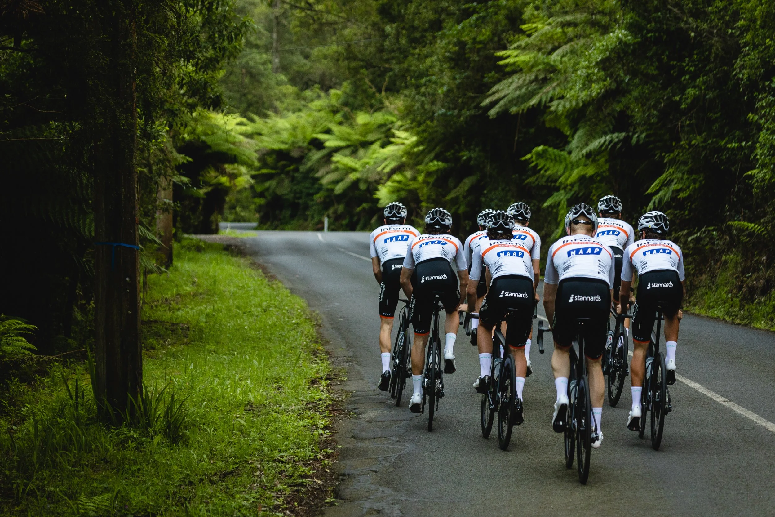 Brisbane: A Cycling Paradise - Exploring the Reasons Why Brisbane is a Premier Cycling City