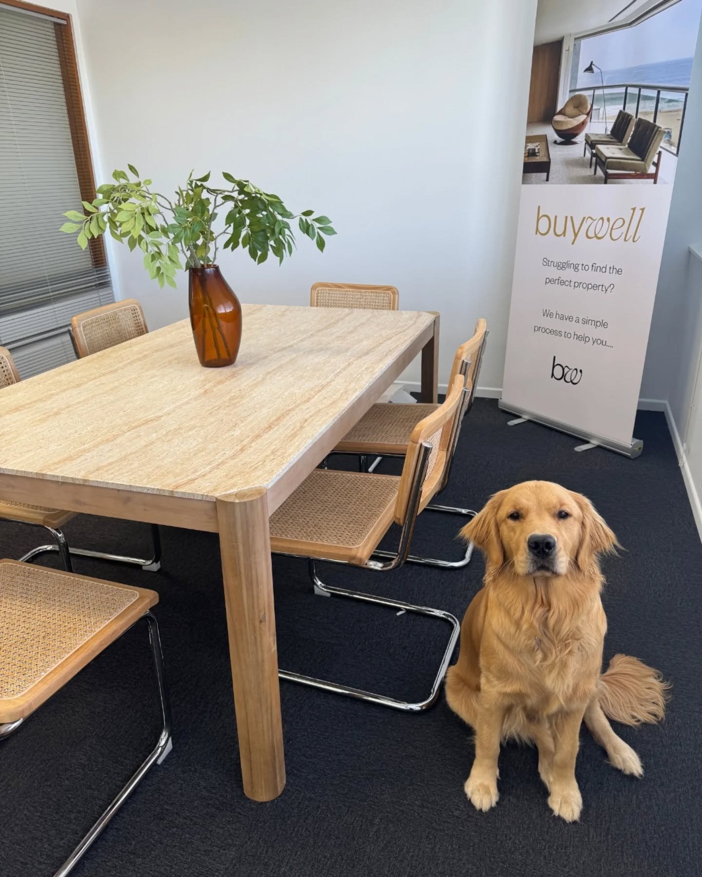 🎉🐶 Our beloved team mascot, Leni, just turned ONE! 🥳🎂 From greeting clients with tail wags to keeping morale high, she&rsquo;s been the real MVP of the Buywell crew. Happy Birthday, Leni! 🐾💛