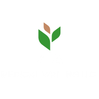 ZLA Medical Writing LLC