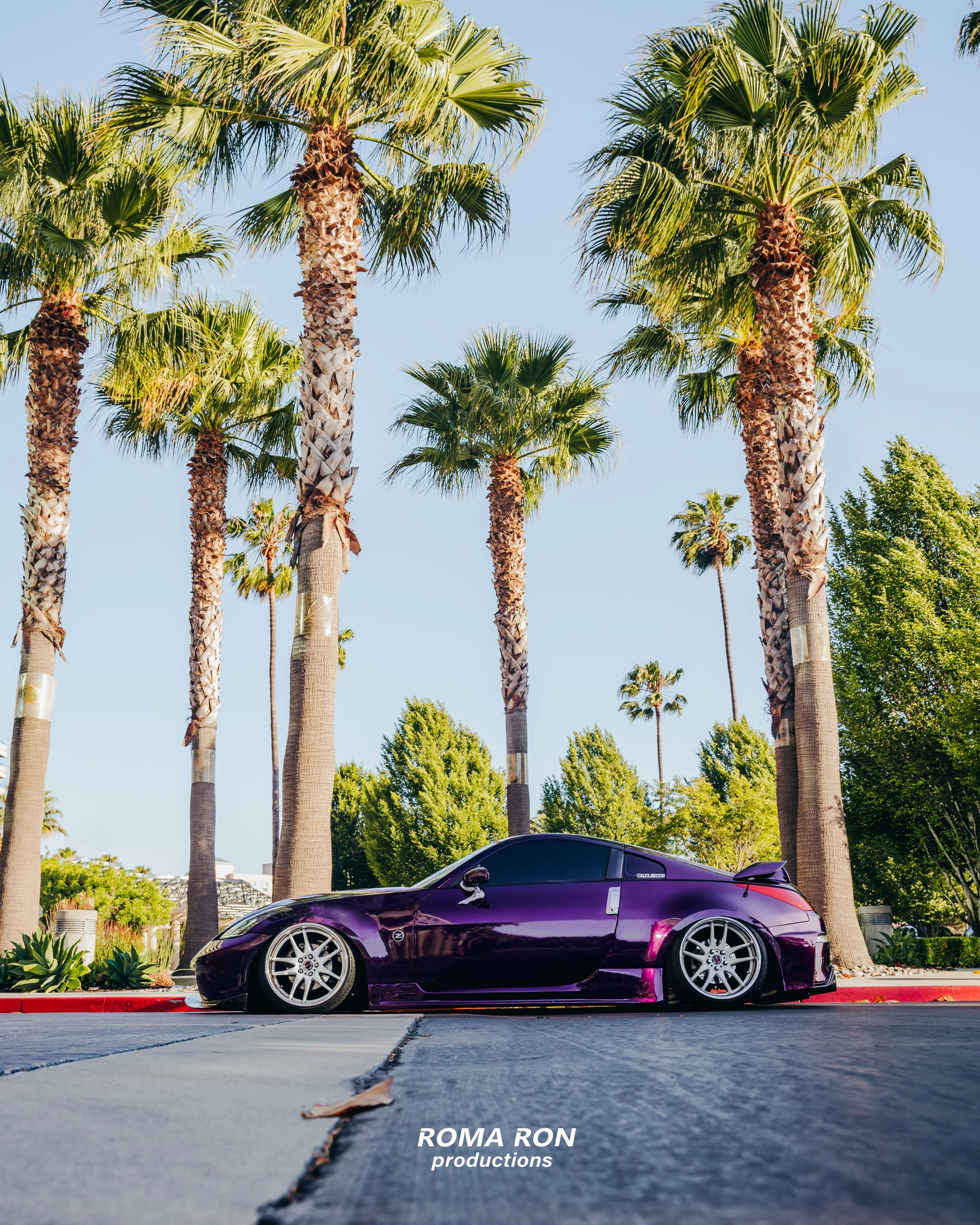_DSC3304-Edit.jpg