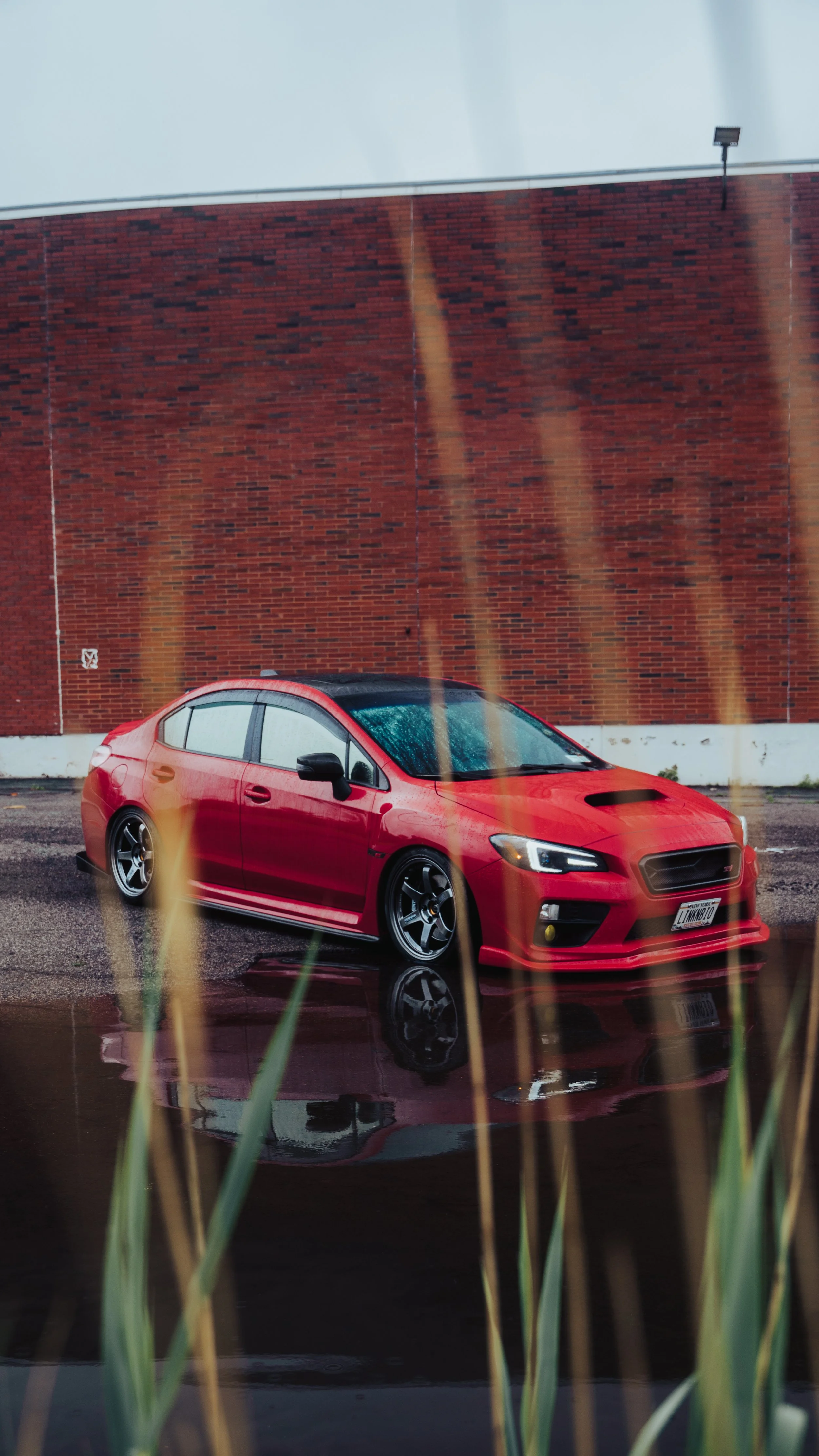 _DSC9904.jpeg
