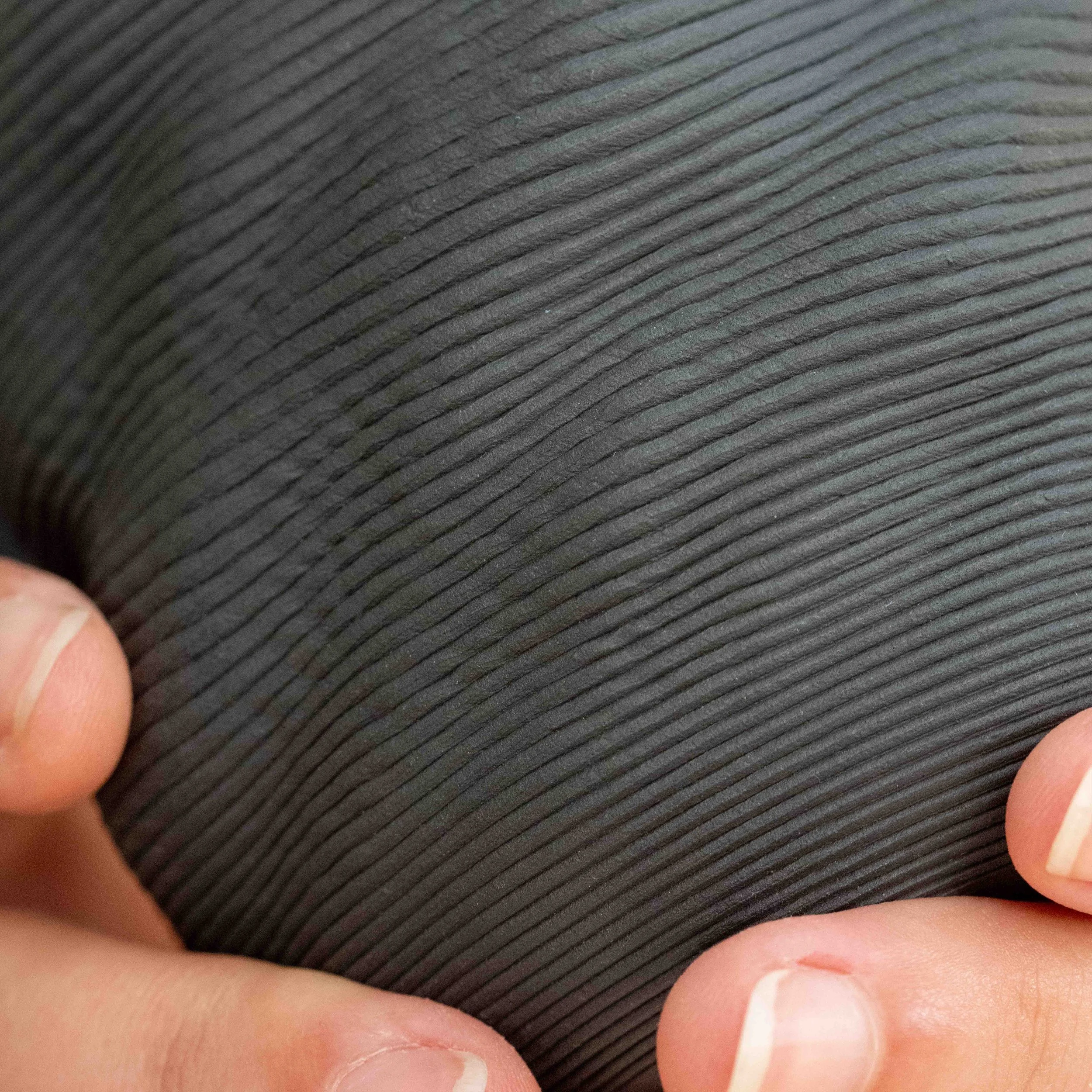DSC06160.jpg