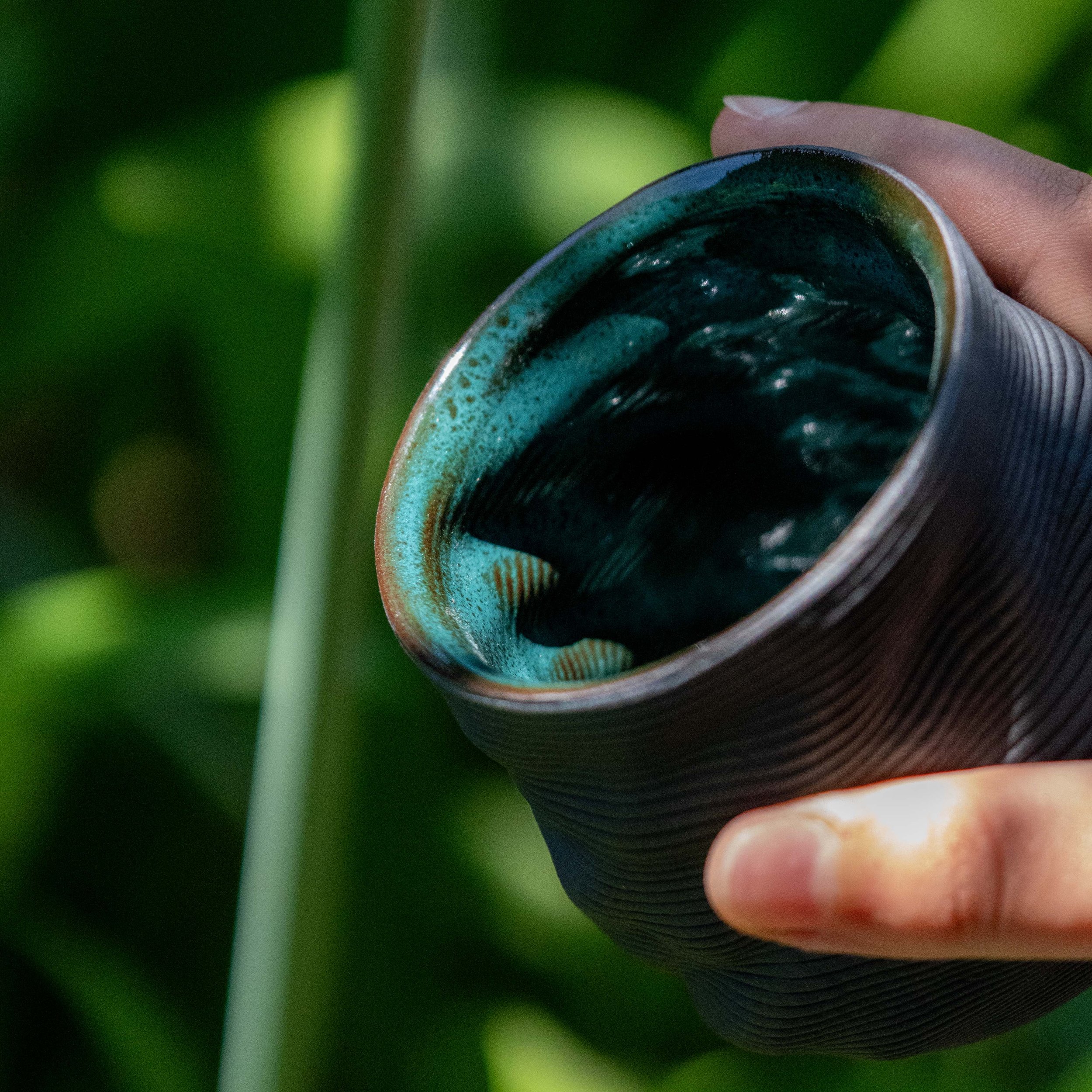 Organic Latte  Mug in Forest Green