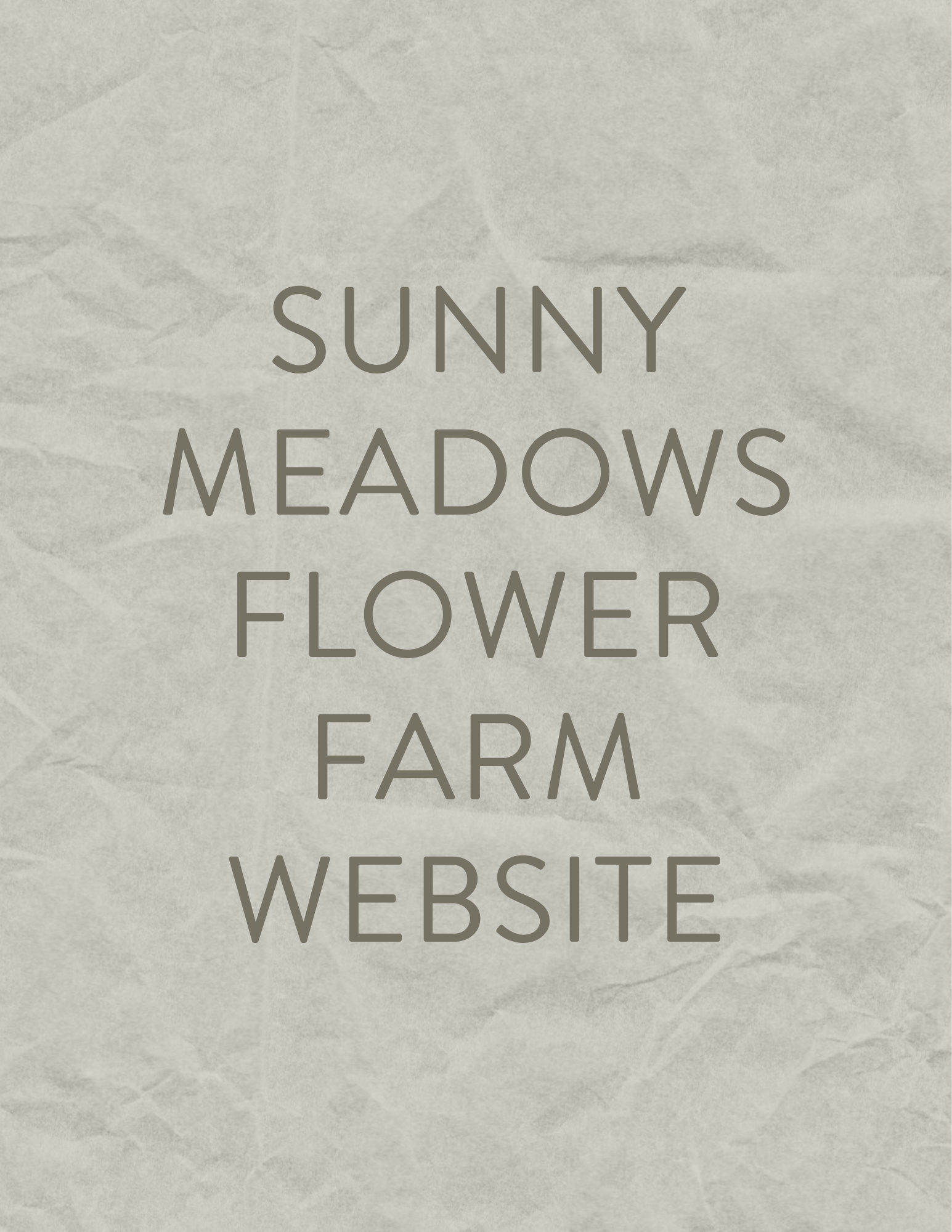 Led the design of a unified website experience that serves three distinct customer groups, simplifying navigation, improving usability, and expanding reach through a cohesive Shopify platform.