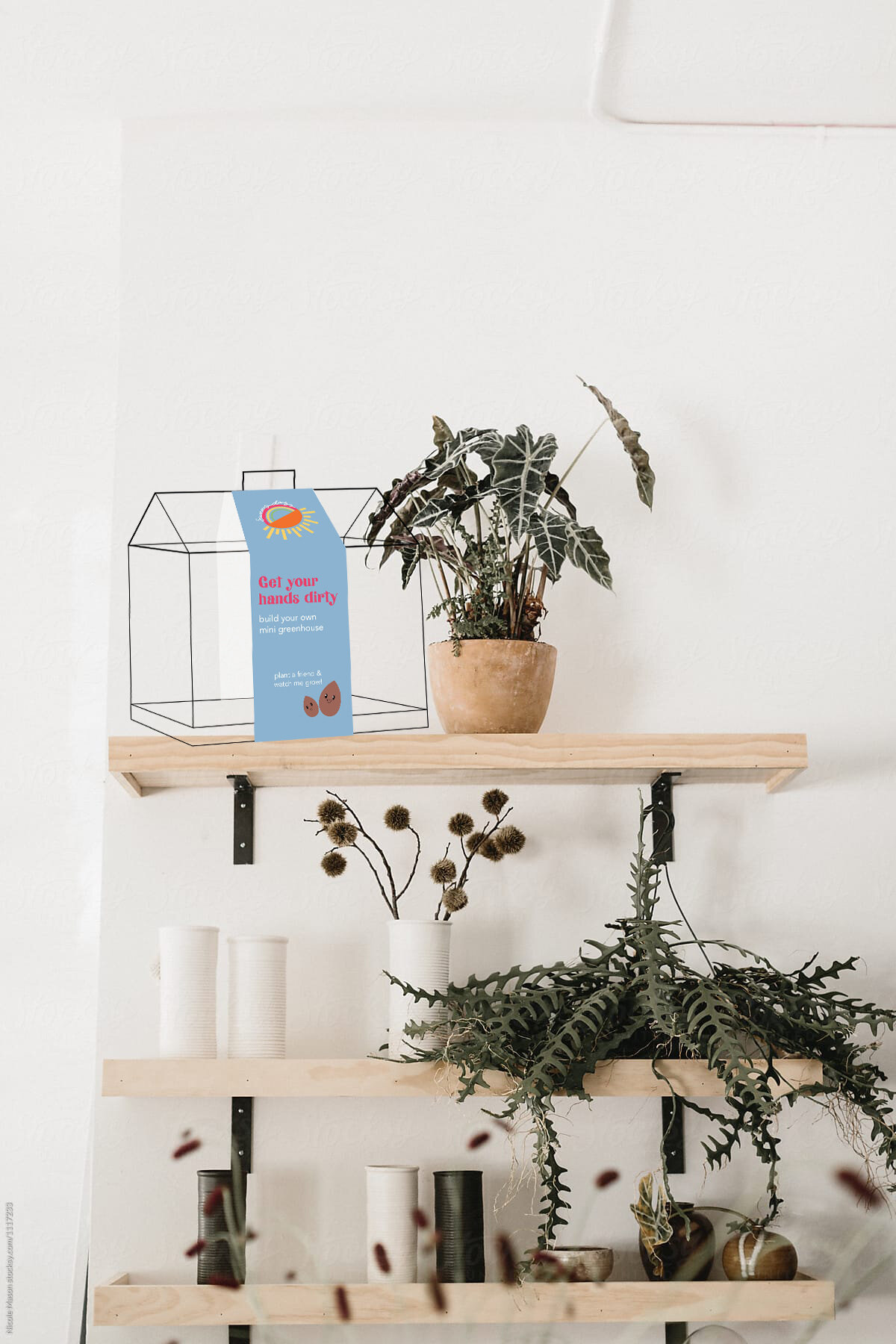 packaging in store.jpg