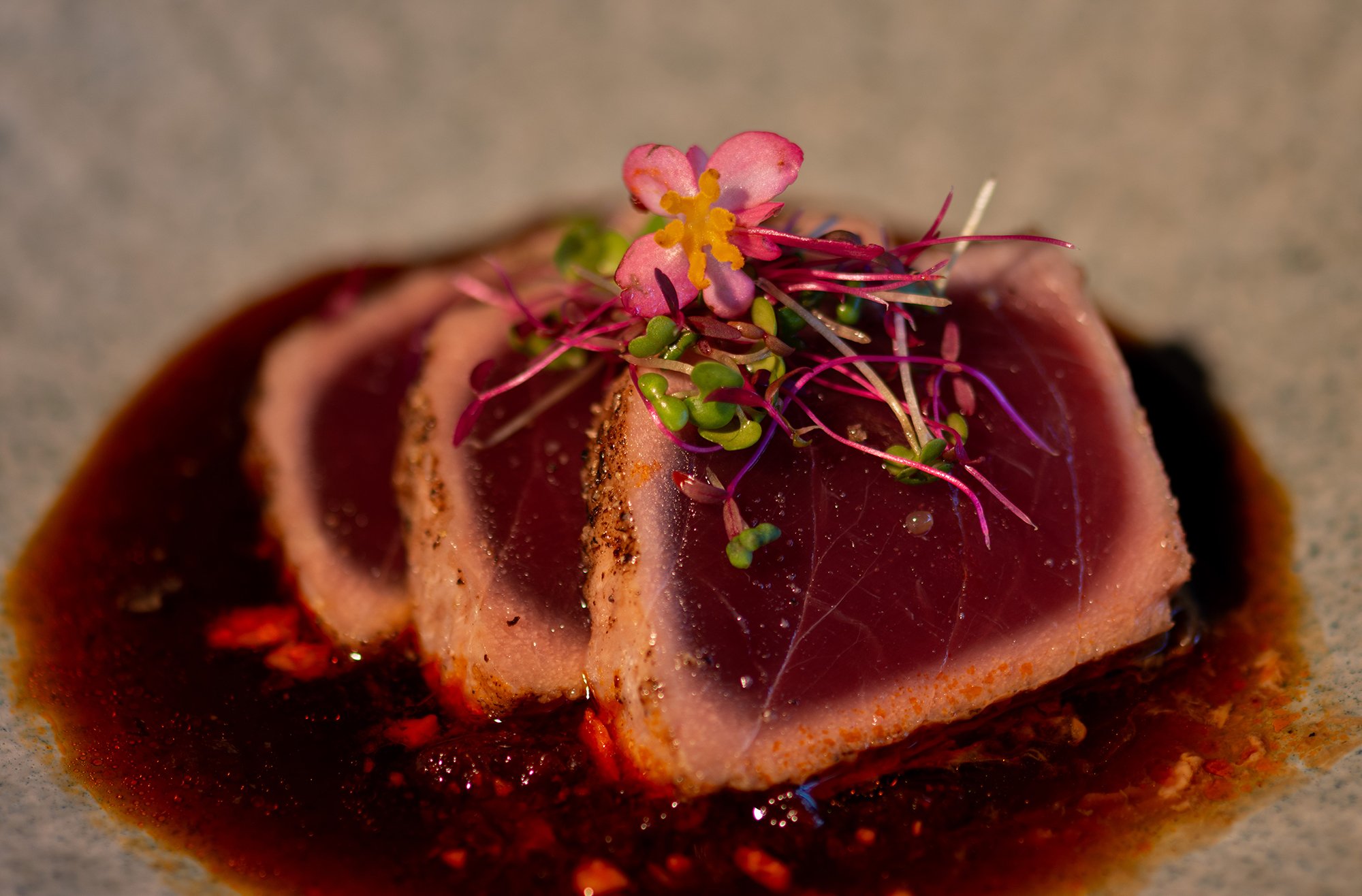 plated ahi