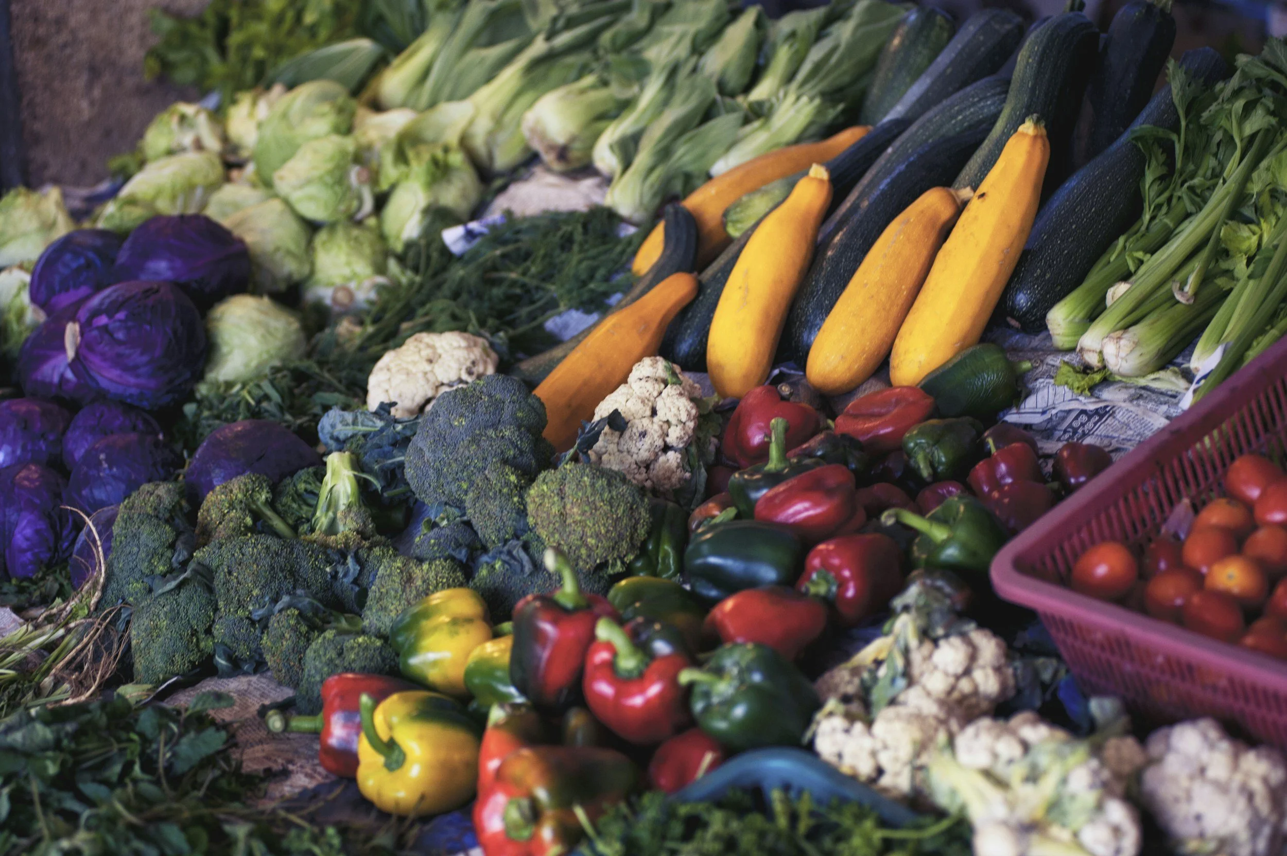 Help Fresh Food Last Longer – Reducing Food Waste at Home and School