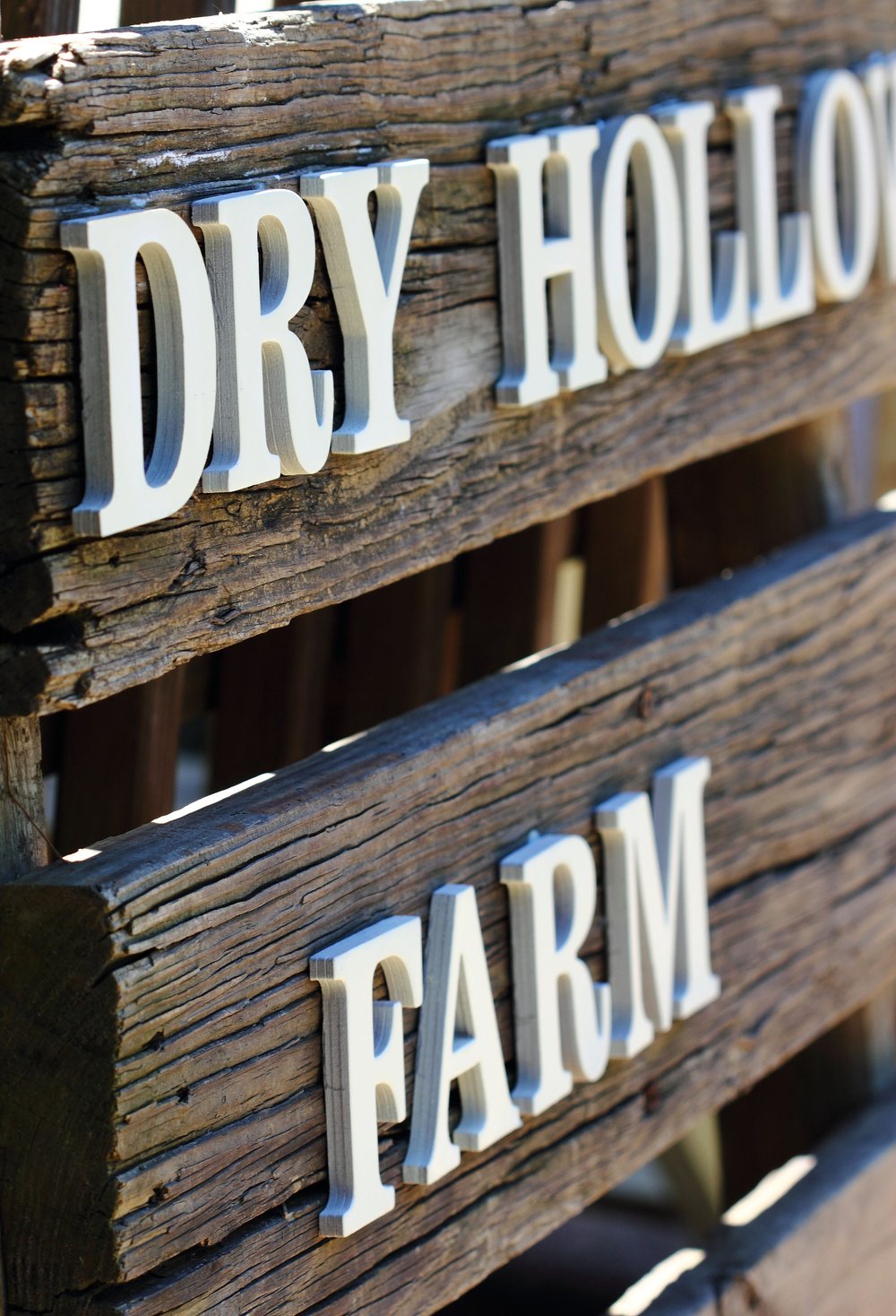 Essential Oil Lotion Bars (Wholesale) — Dry Hollow Farm