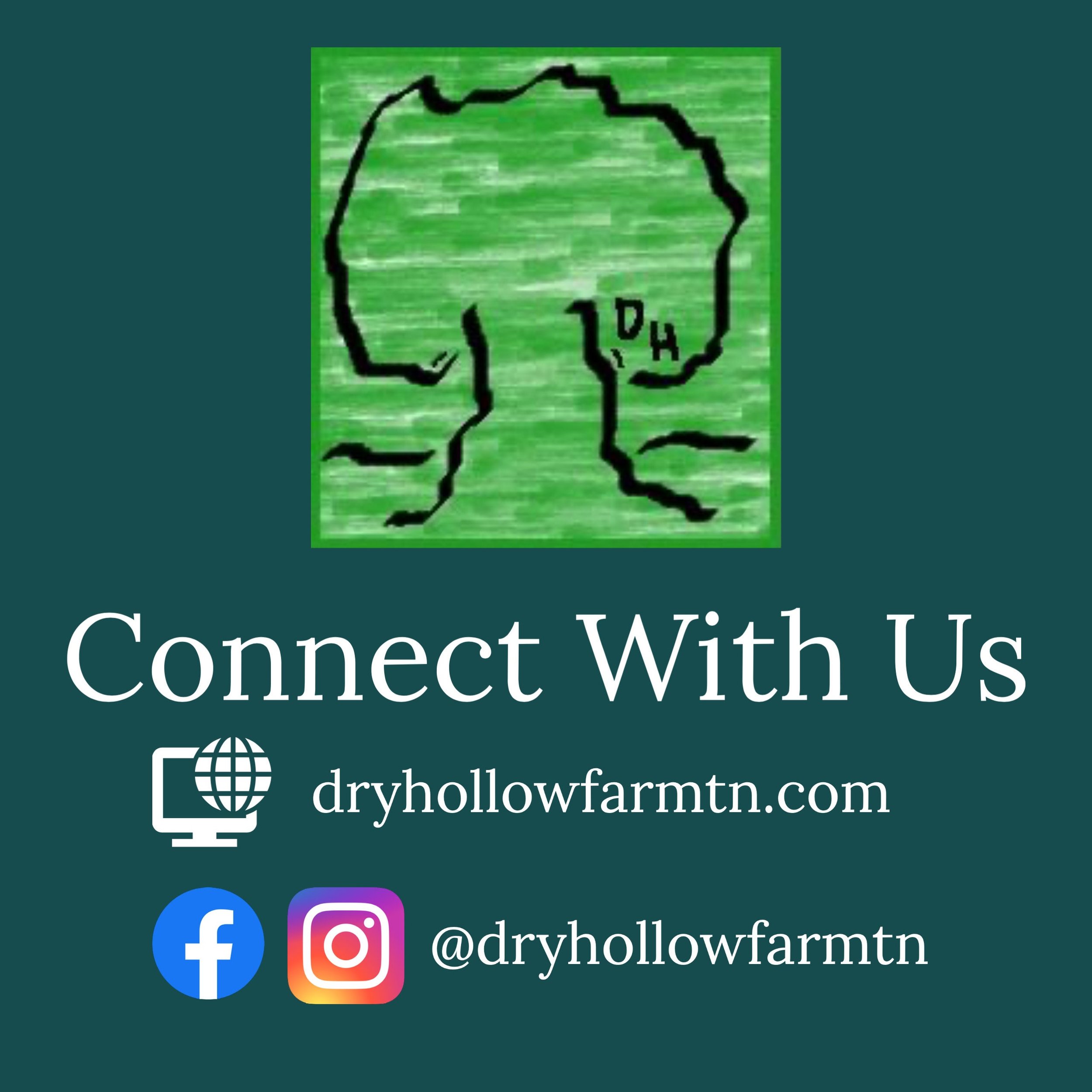 https://i.etsystatic.com/9290222/r/il/3c233a/3043604674/il_fullxfull.3043604674_8mxg.jpg
