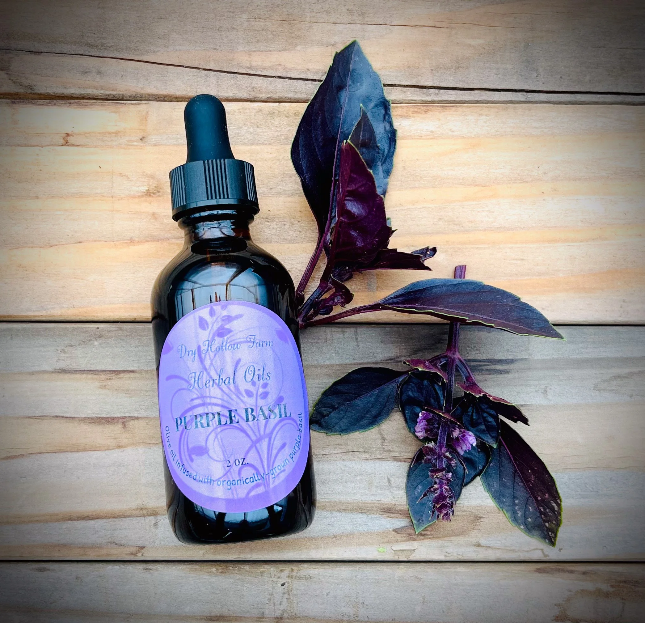 Purple Basil Herbal Oil