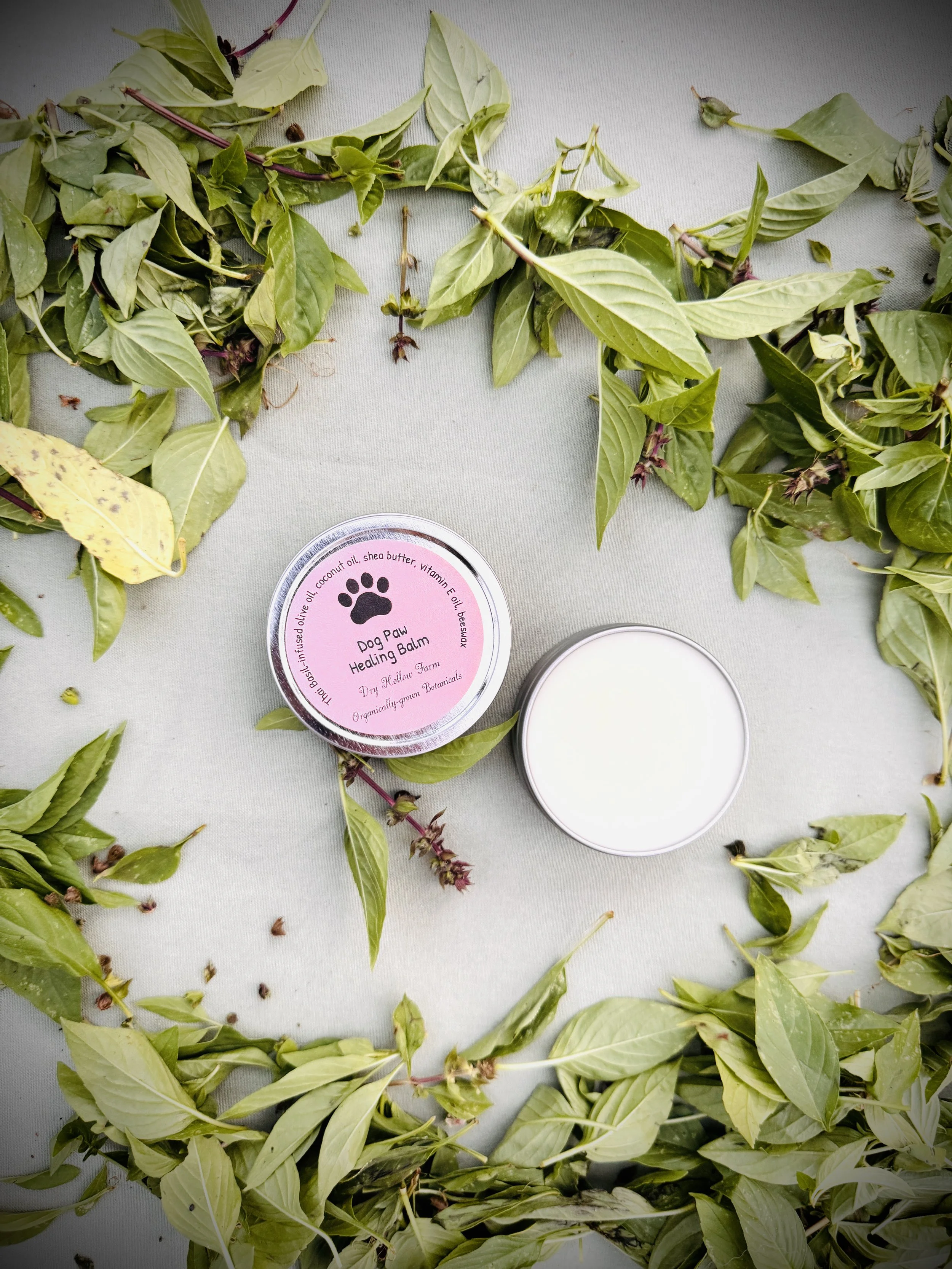 Thai Basil Dog Paw Herbal Balm