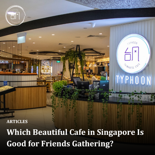 Which Beautiful Cafe in Singapore Is Good for Friends Gathering?