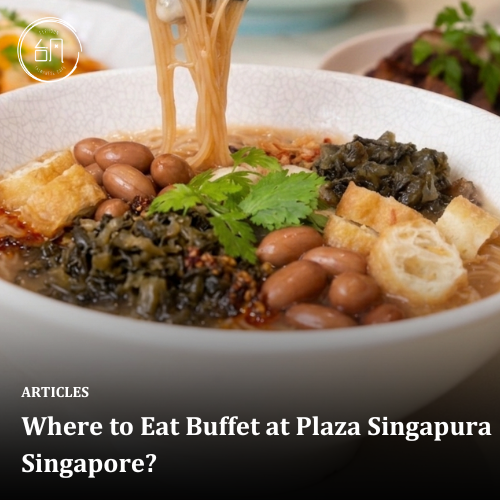 Where to Eat Buffet at Plaza Singapura Singapore?