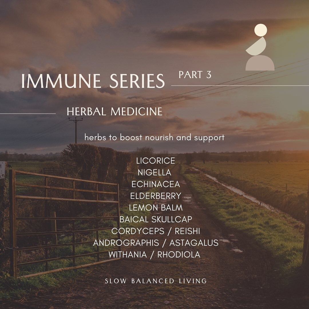 Herbal Medicine for immune health 

This is by no means an exhaustive list. Herbal medicine can work to modulate, support, increase and suppress immune system responses based on individual cases and their needs. Using herbal medicine to promote your 