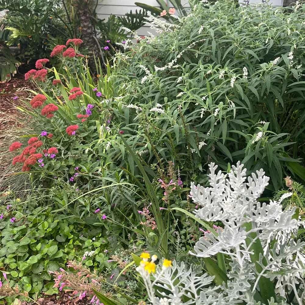 Abundant perennial gardens