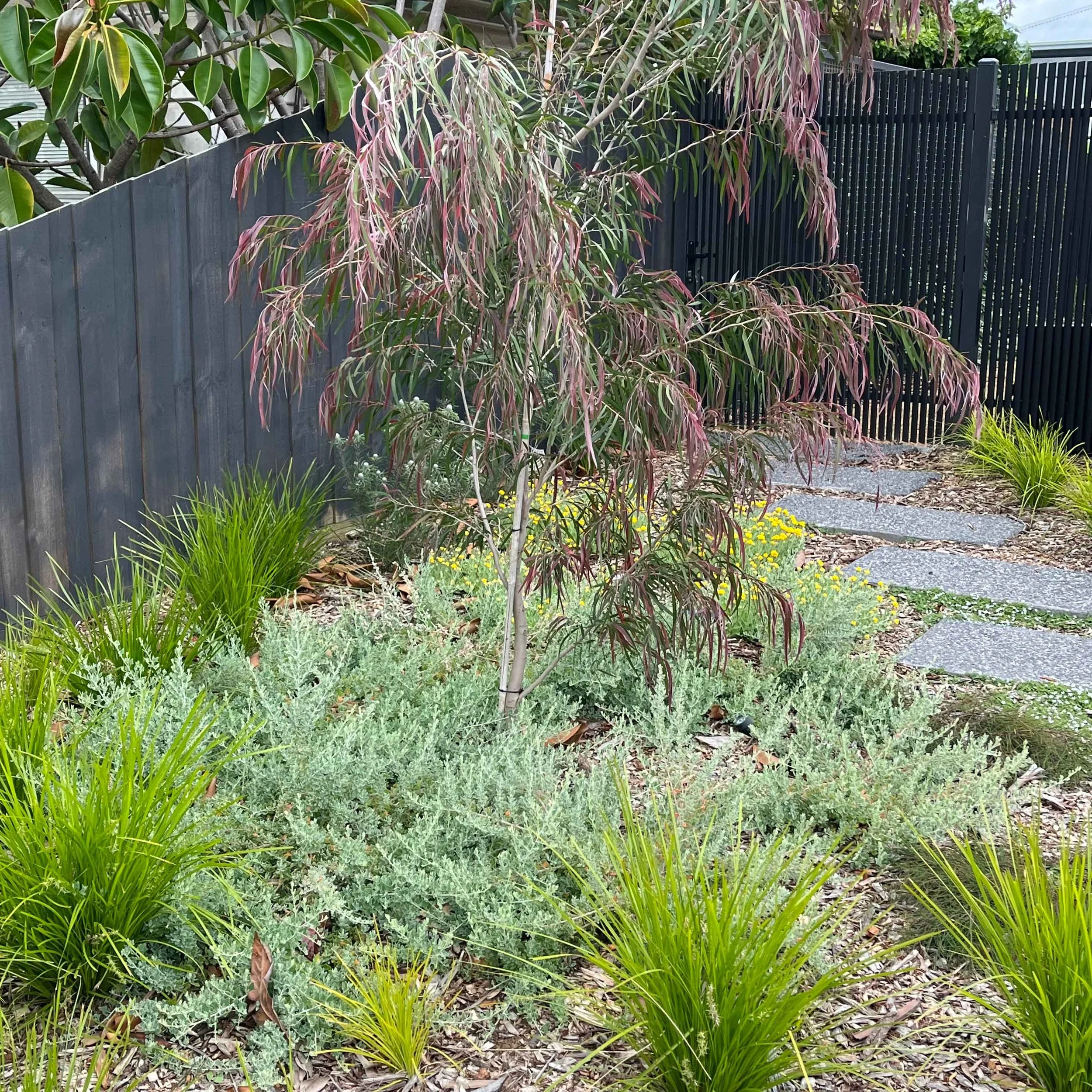 Bespoke gardens for newly built homes in Melbourne