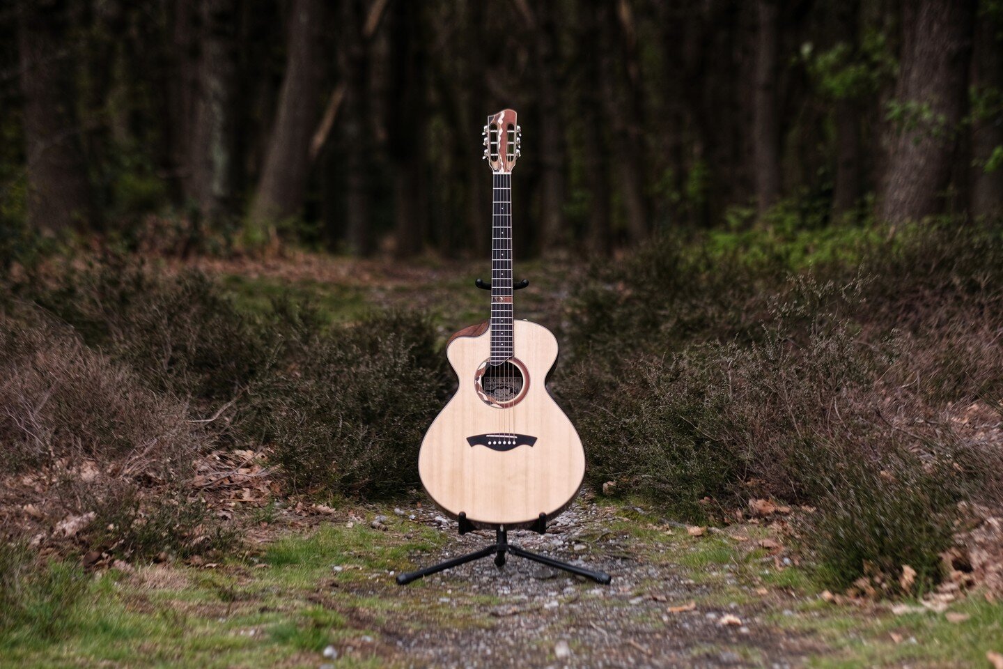 Here's a guitar I started in 2020, finished in the early months of 2022, and only just got round to photographing. 

It was a first in many ways, as the prototype for my OM model, a medium sized guitar with a balanced and focussed sound best suited f