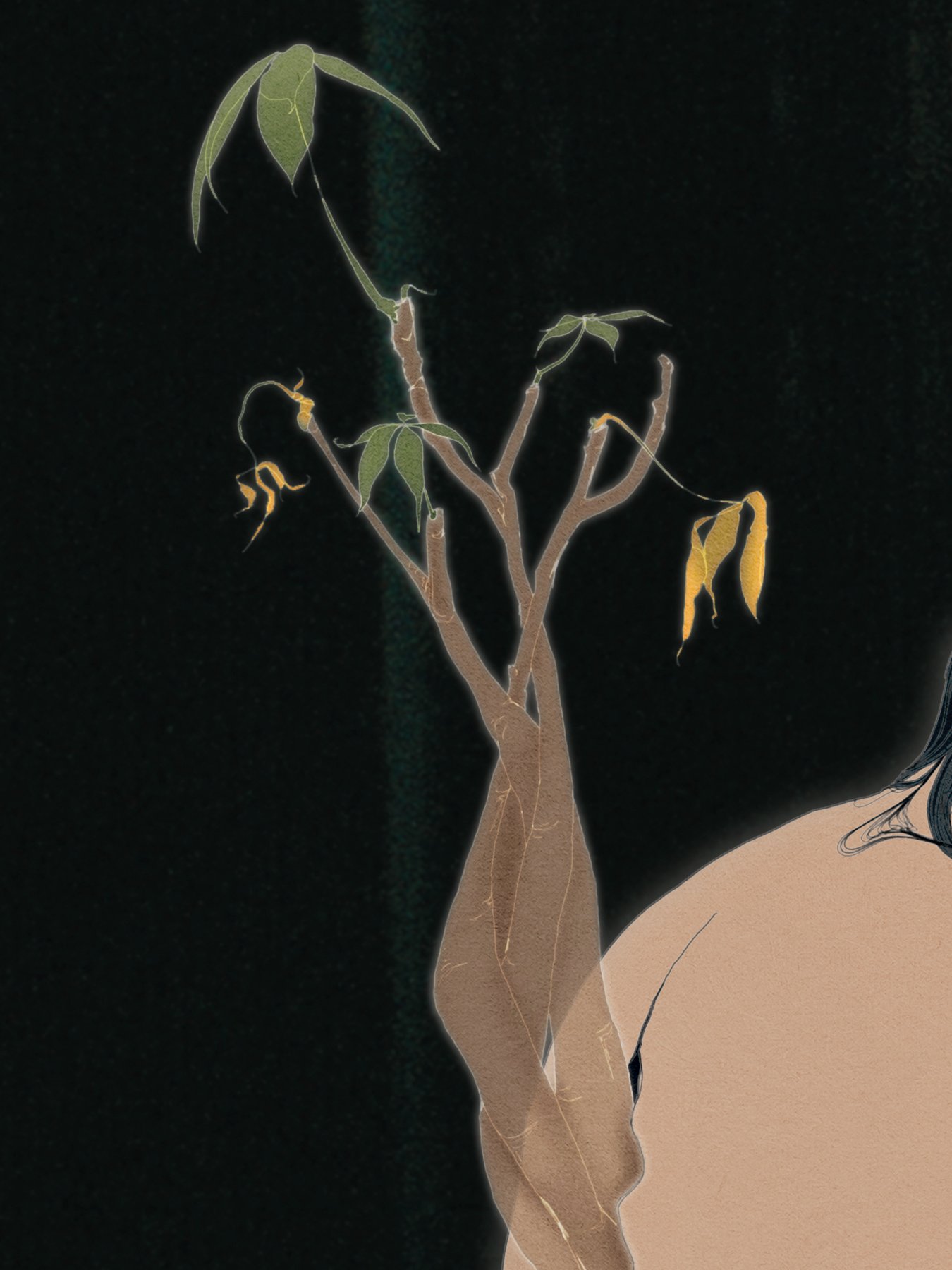 Money_Tree_9x12_Slices_02.jpg
