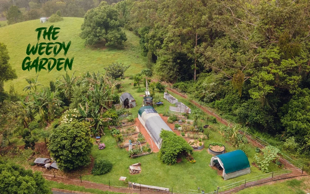 Daleys Nursery The Weedy Garden daleys-nursery-the-weedy-garden