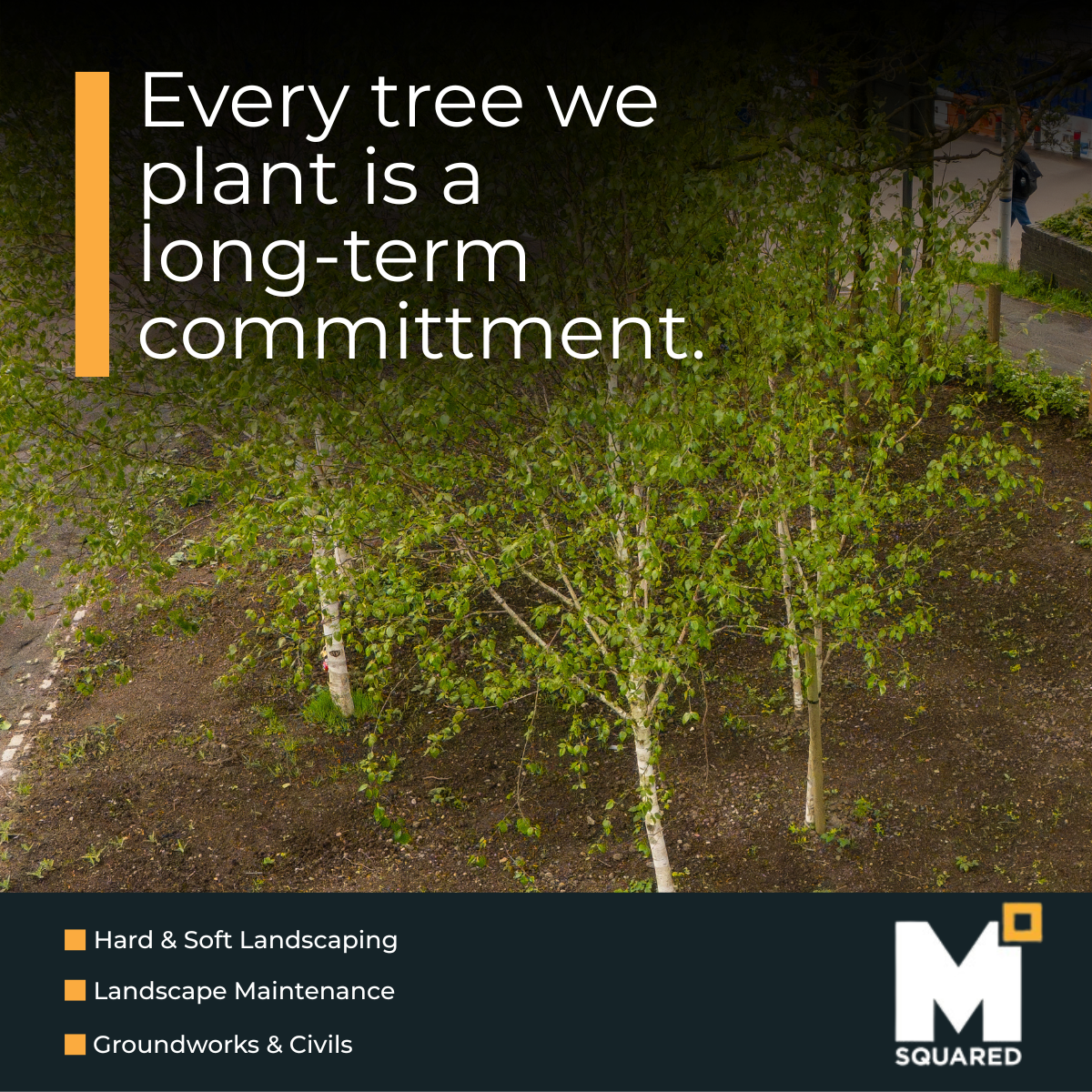 MSquared  EBS posts (11).png