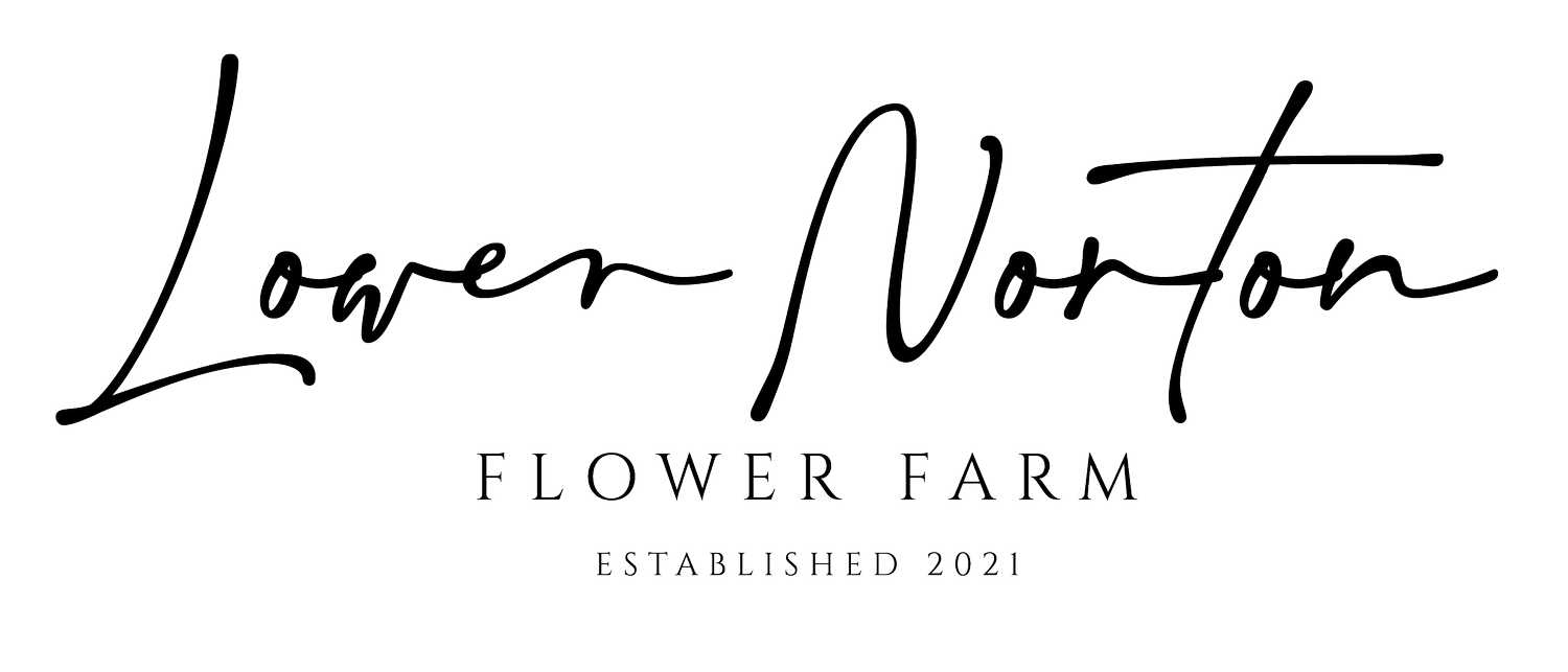 Lower Norton Flower Farm