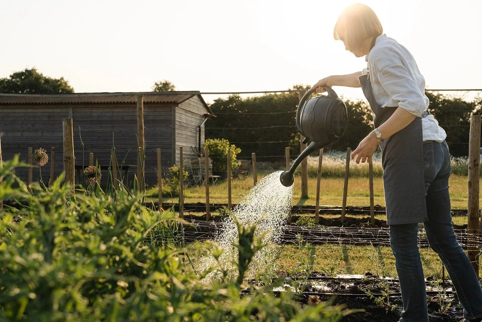 Life on a British Flower Farm: Welcome to Lower Norton Flower Farm