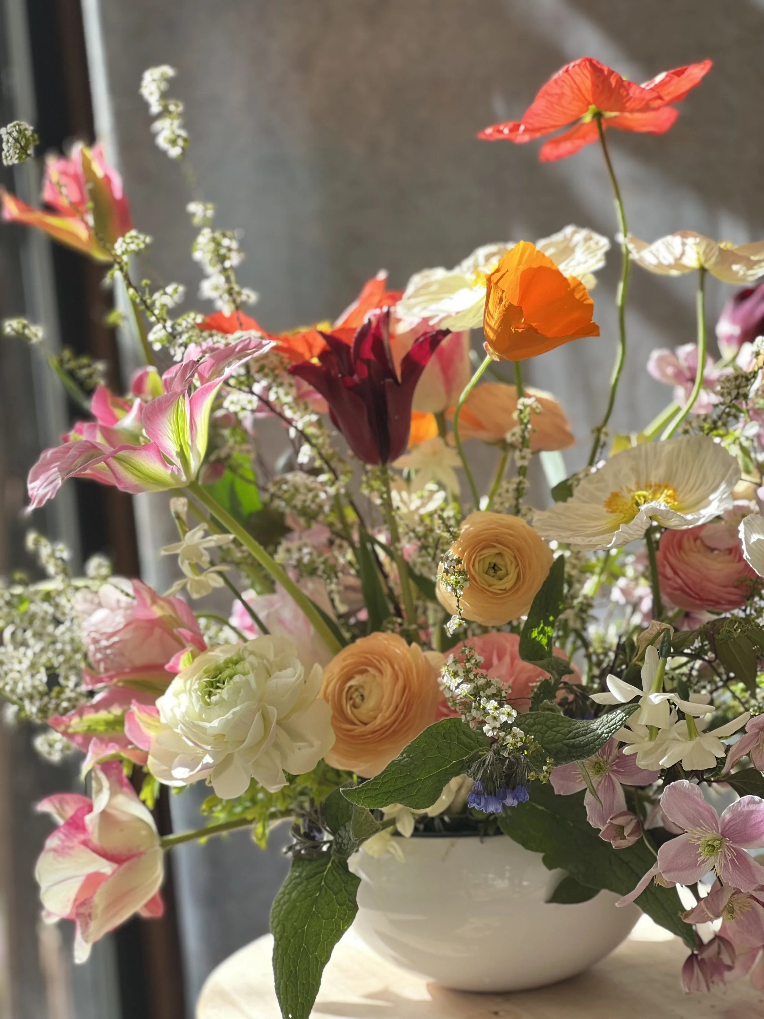 What’s Happening on the Flower Farm in  Spring