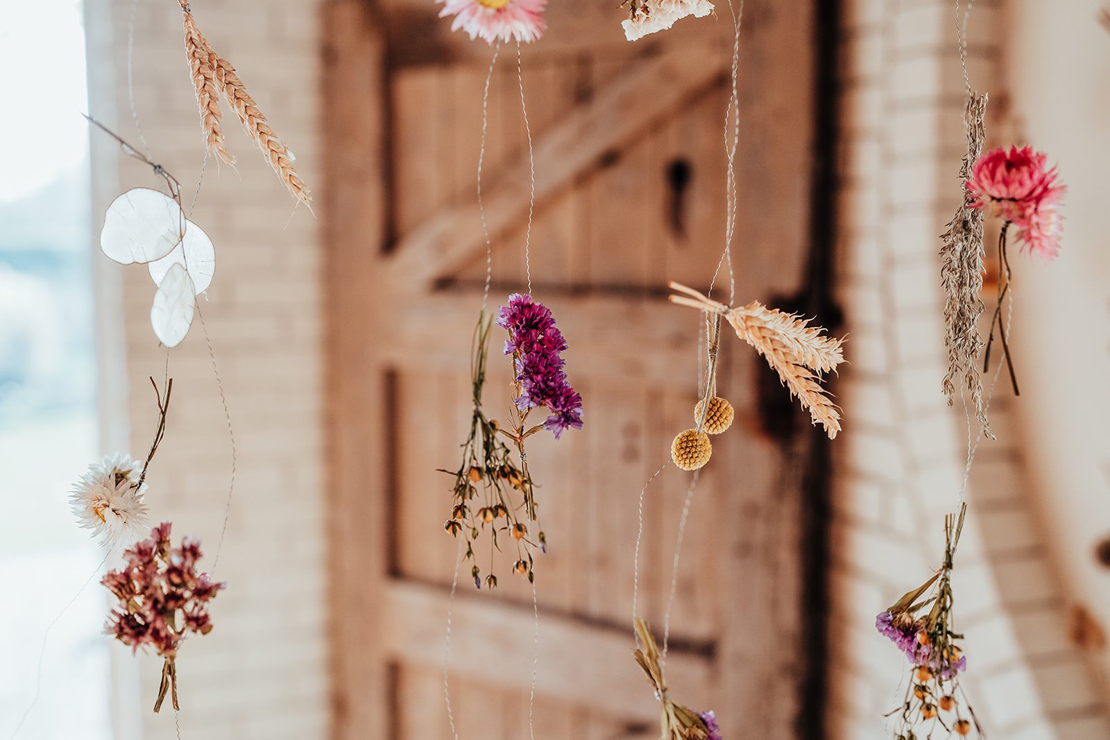 Lower_Norton_Flower_Farm_2024_KIRSTY_BOWEN_PHOTOGRAPHY-152_websize.jpg