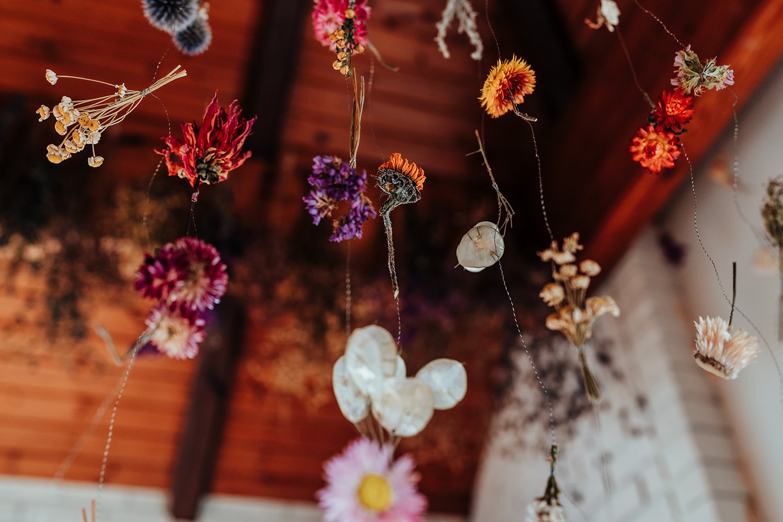 Lower_Norton_Flower_Farm_2024_KIRSTY_BOWEN_PHOTOGRAPHY-154_websize.jpg