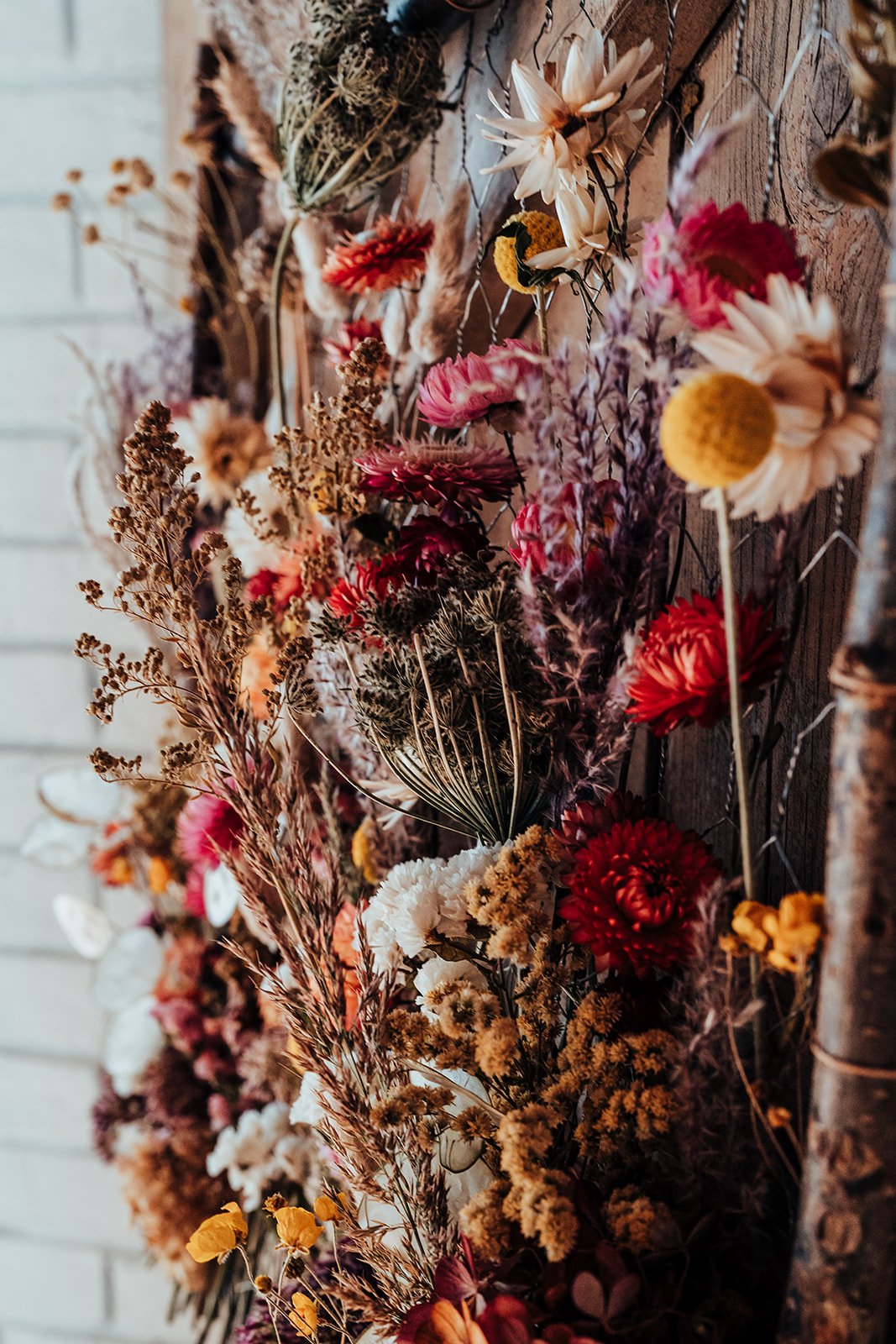 Lower_Norton_Flower_Farm_2024_KIRSTY_BOWEN_PHOTOGRAPHY-163.jpg