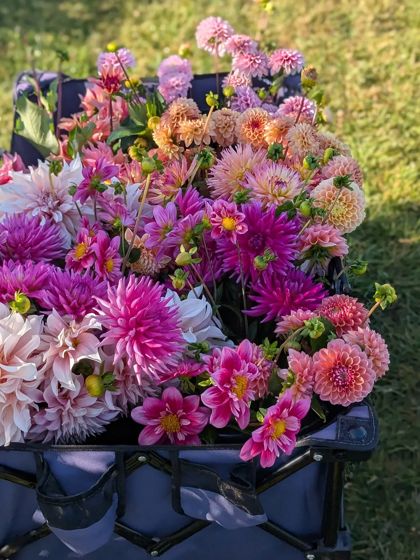 Short Stem Event Bucket