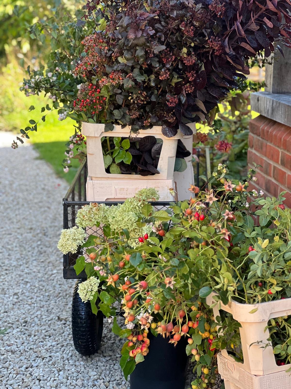 Long Stem Foliage Event Bucket
