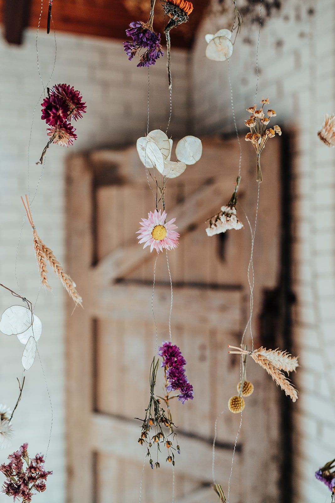 Lower_Norton_Flower_Farm_2024_KIRSTY_BOWEN_PHOTOGRAPHY-149_websize.jpg