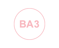 BA3 Logo.png