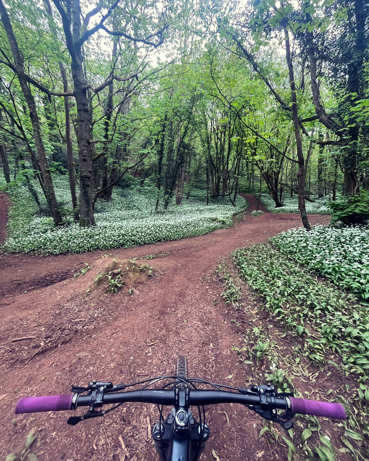 Happy Earth Day! 🌍 

Let&rsquo;s all do our part to be as sustainable as possible so that we can keep enjoying natures playground 🧡

Small changes make a big difference 🌱 🌍 🌲 

#earthday #sustainability #mtb #bristol #letthemride